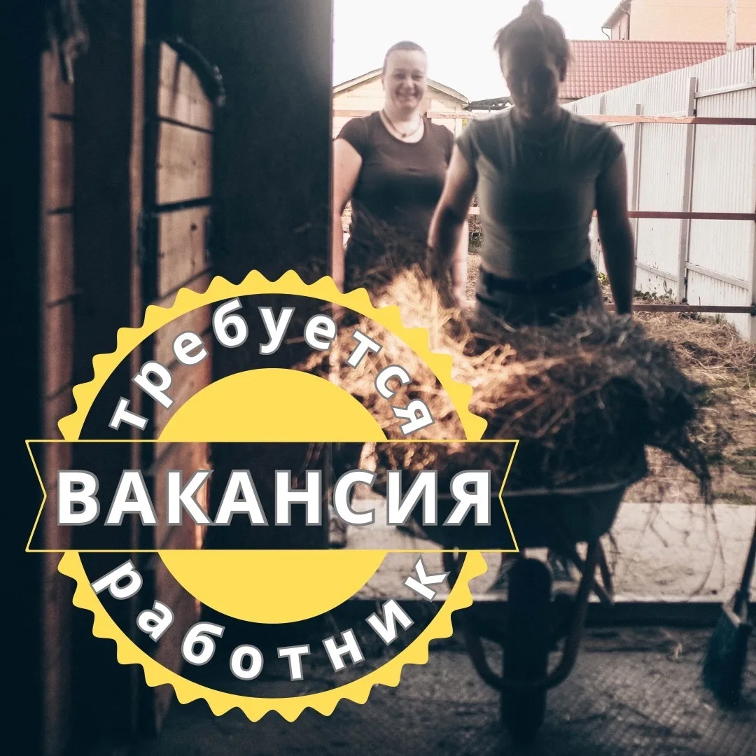 Срочно! Ищем конюха/конюхов или семью, желающих переехать к нам на территорию для работ...