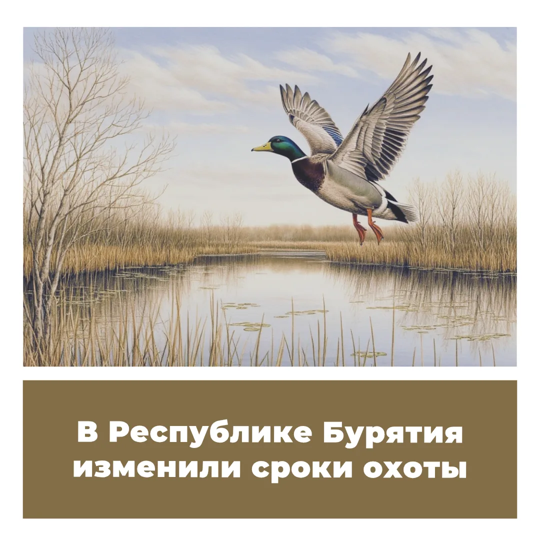 Указом Главы Республики Бурятия от 28.04.2026 № 82 утверждена новая редакция ограничени...