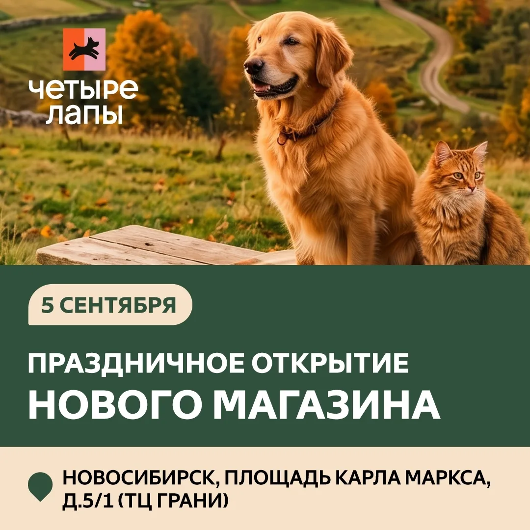 Приглашаем Вас и Вашего питомца на праздничное открытие зоомагазина Четыре Лапы на площ...