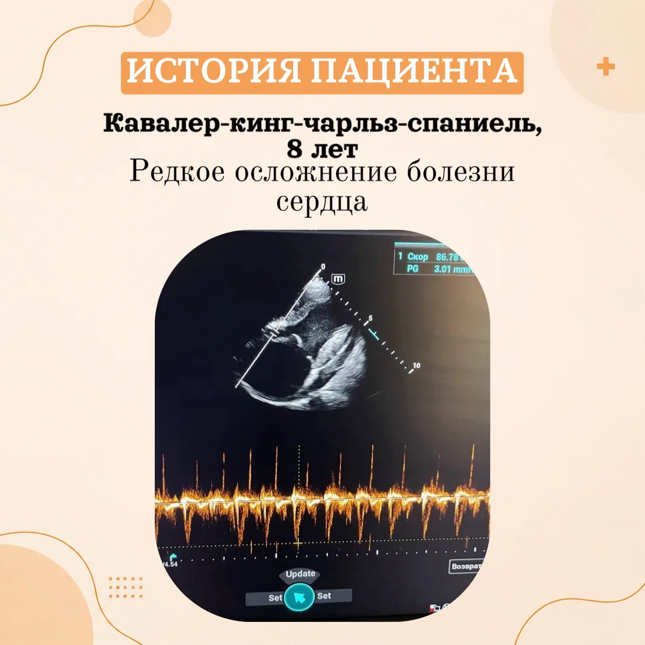 ИСТОРИЯ ПАЦИЕНТА: разрыв левого предсердия у собаки с эндокардиозом митрального клапана