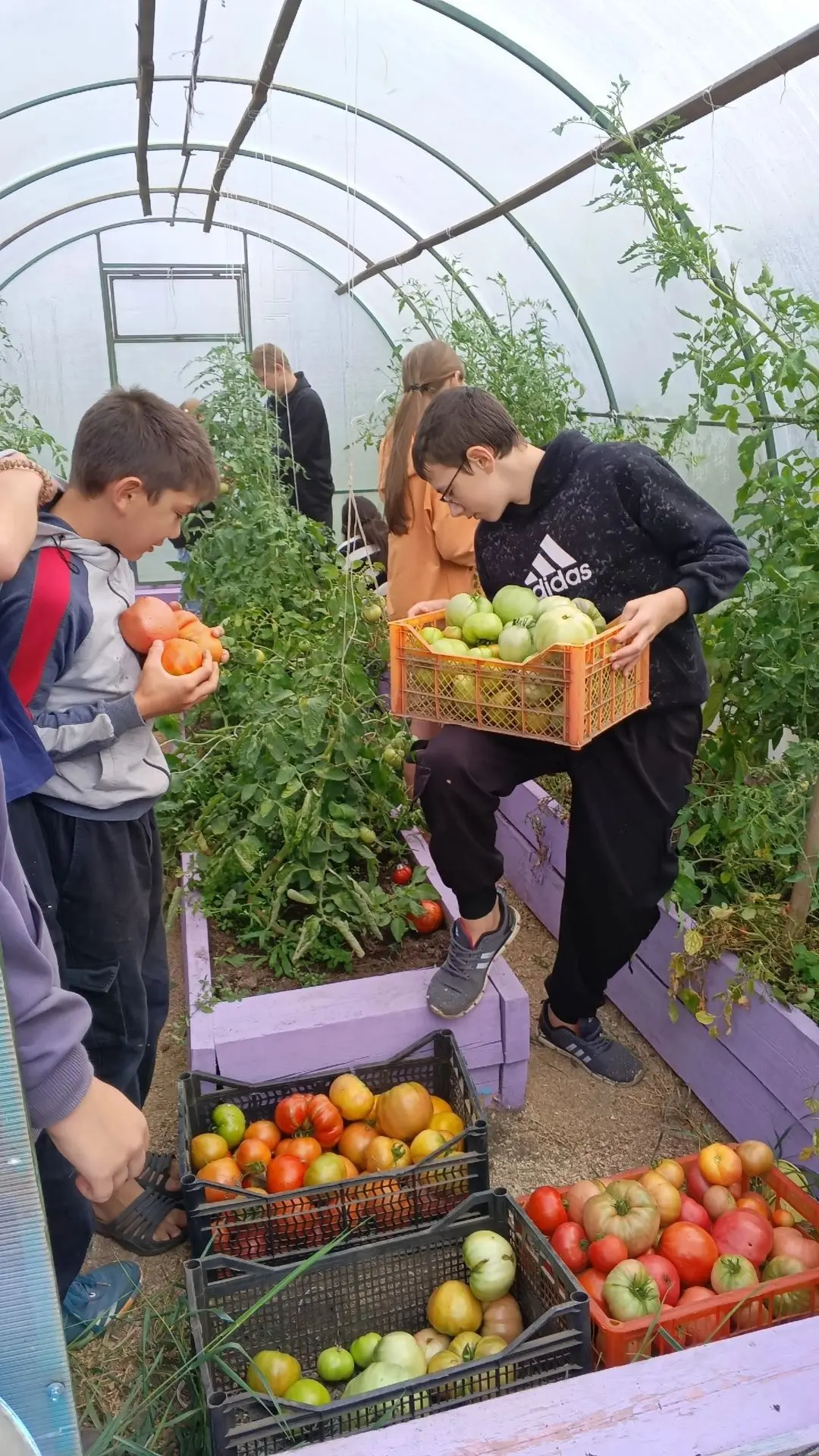 Наш урожай🍅🥒🥗