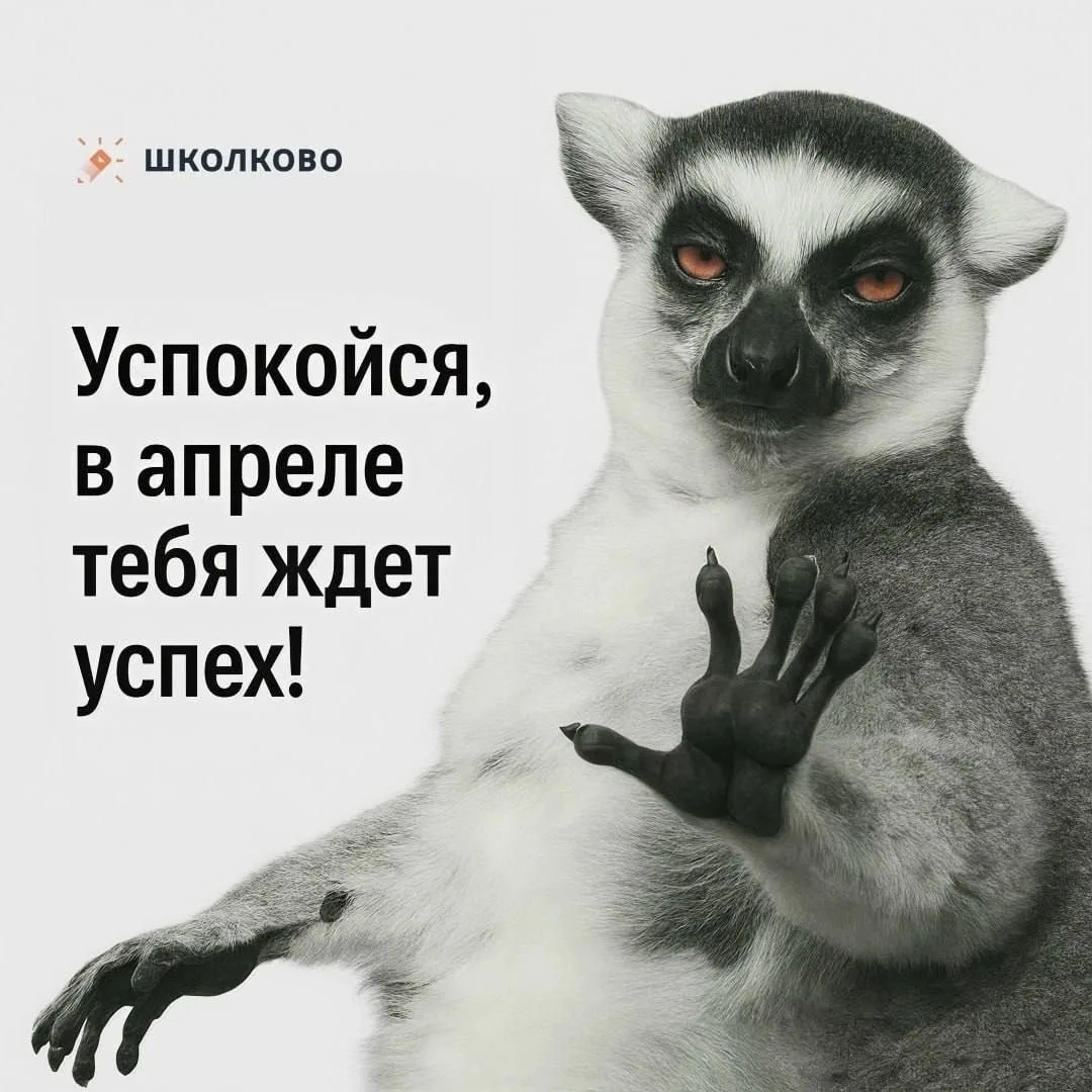 Иногда тревога перед экзаменами накрывает сильнее всего именно сейчас — когда до них остаётся совсем