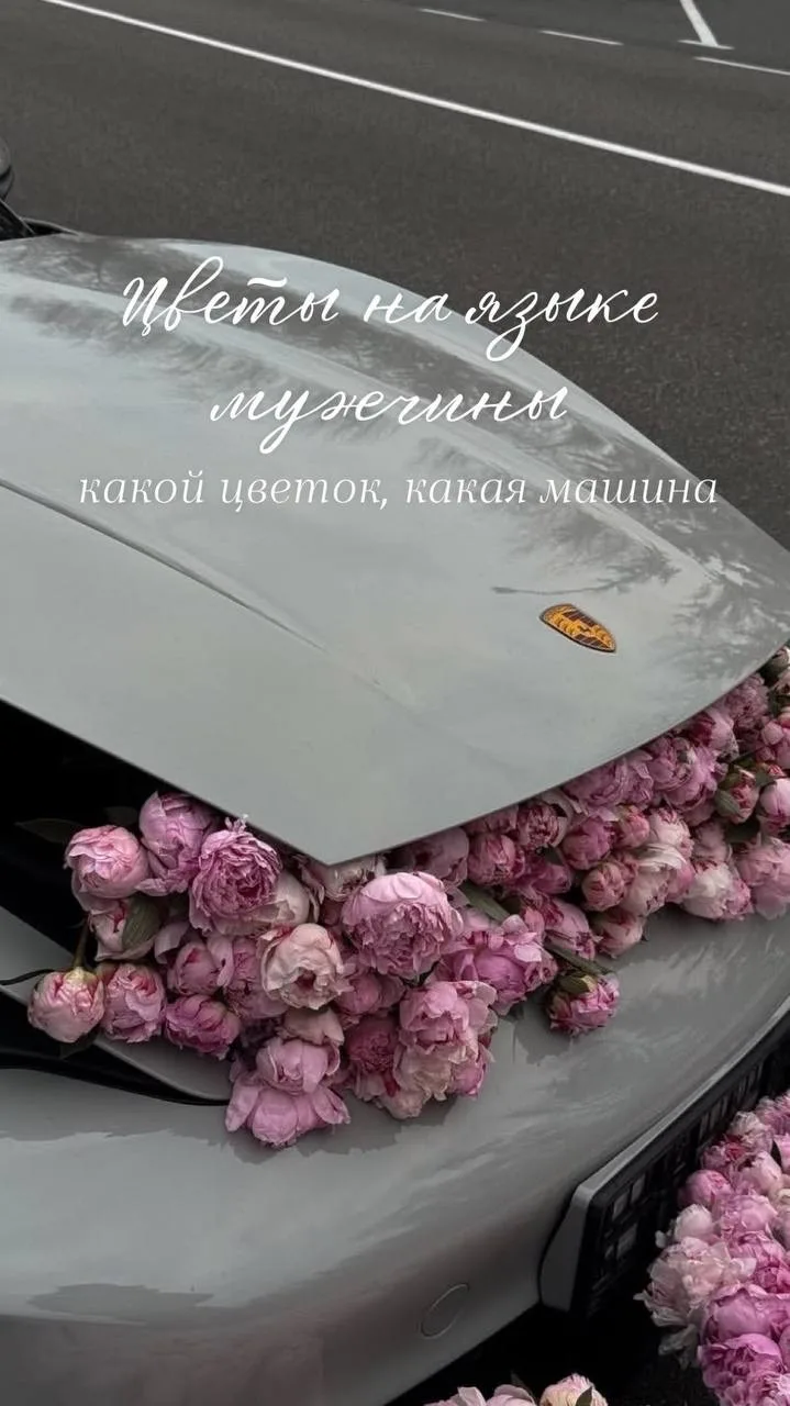 Мужчины, сохраняйте шпаргалку 🌸🚗
Объясняем язык цветов через машины — теперь всё понятно даже тем,