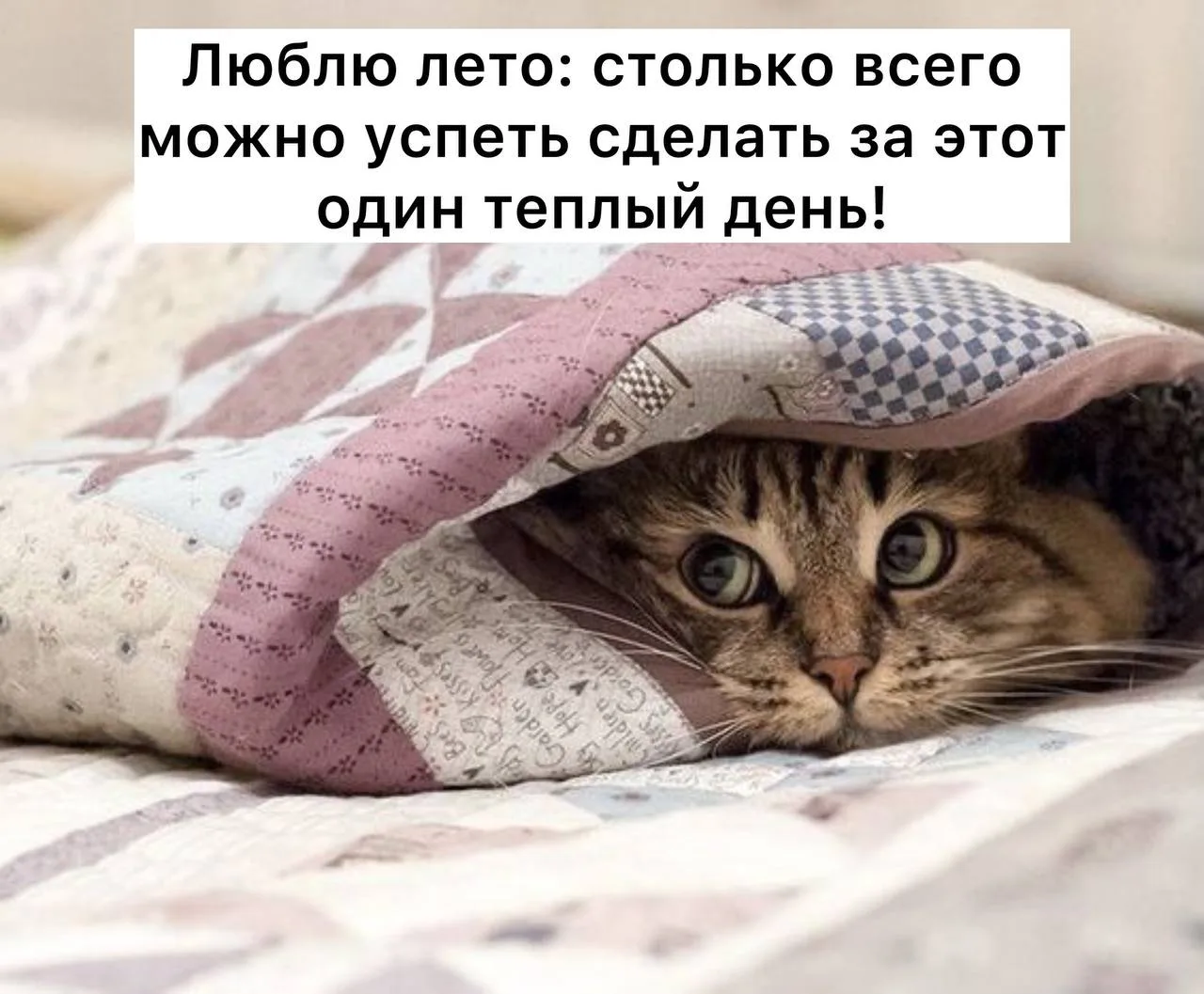 Начало августа в столице по погоде будет «миллион на миллион», — синоптики

Это значит , что будет ж