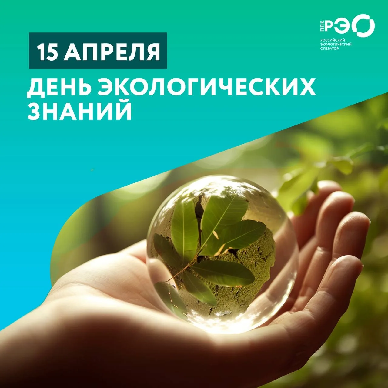 📕 Делимся проектами РЭО, которые помогают просто и понятно разобраться в теме экологии...
