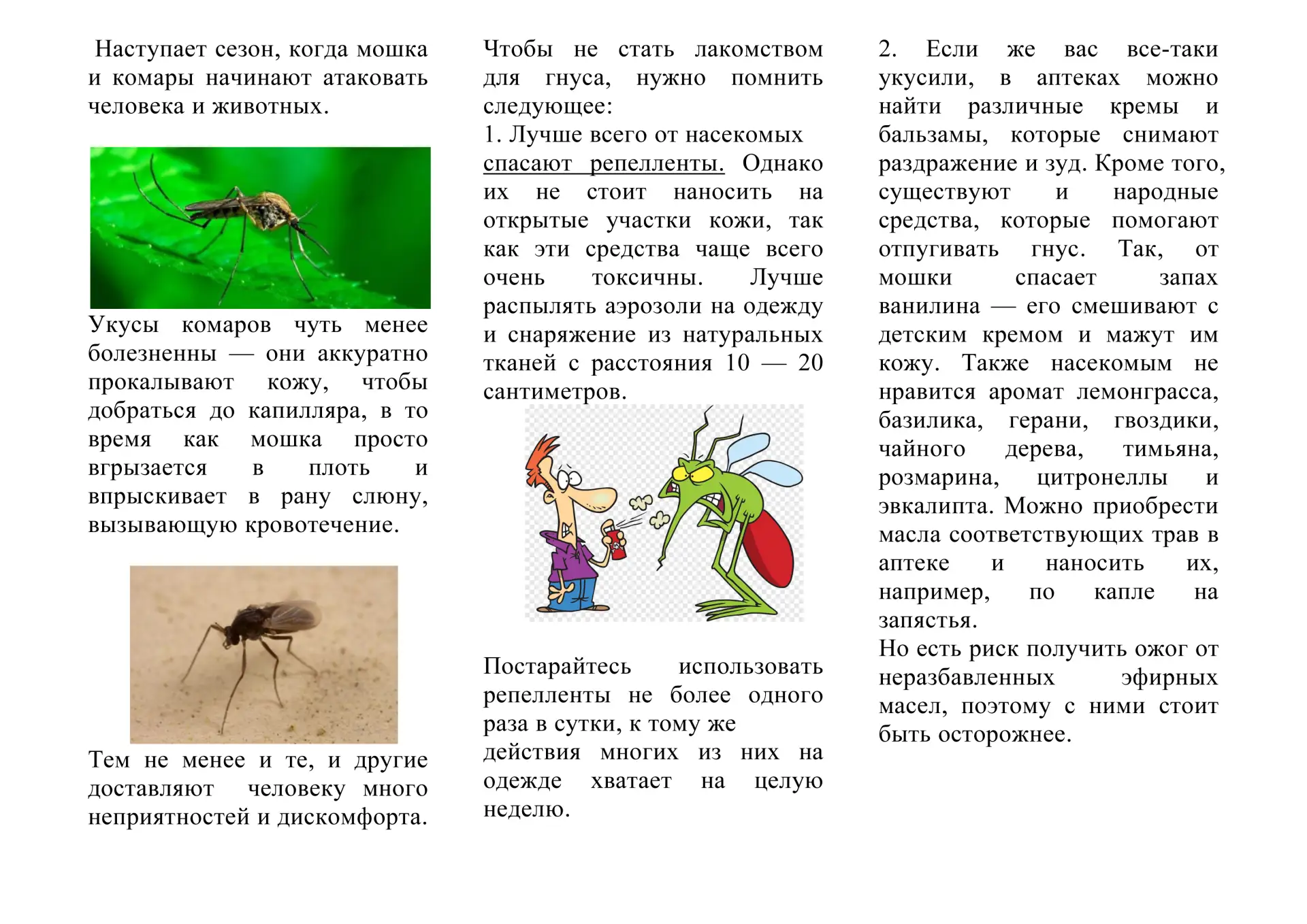 Жаркая погода грозит многими неприятностями. Среди них и увеличением численности мошки.

Мошка очень