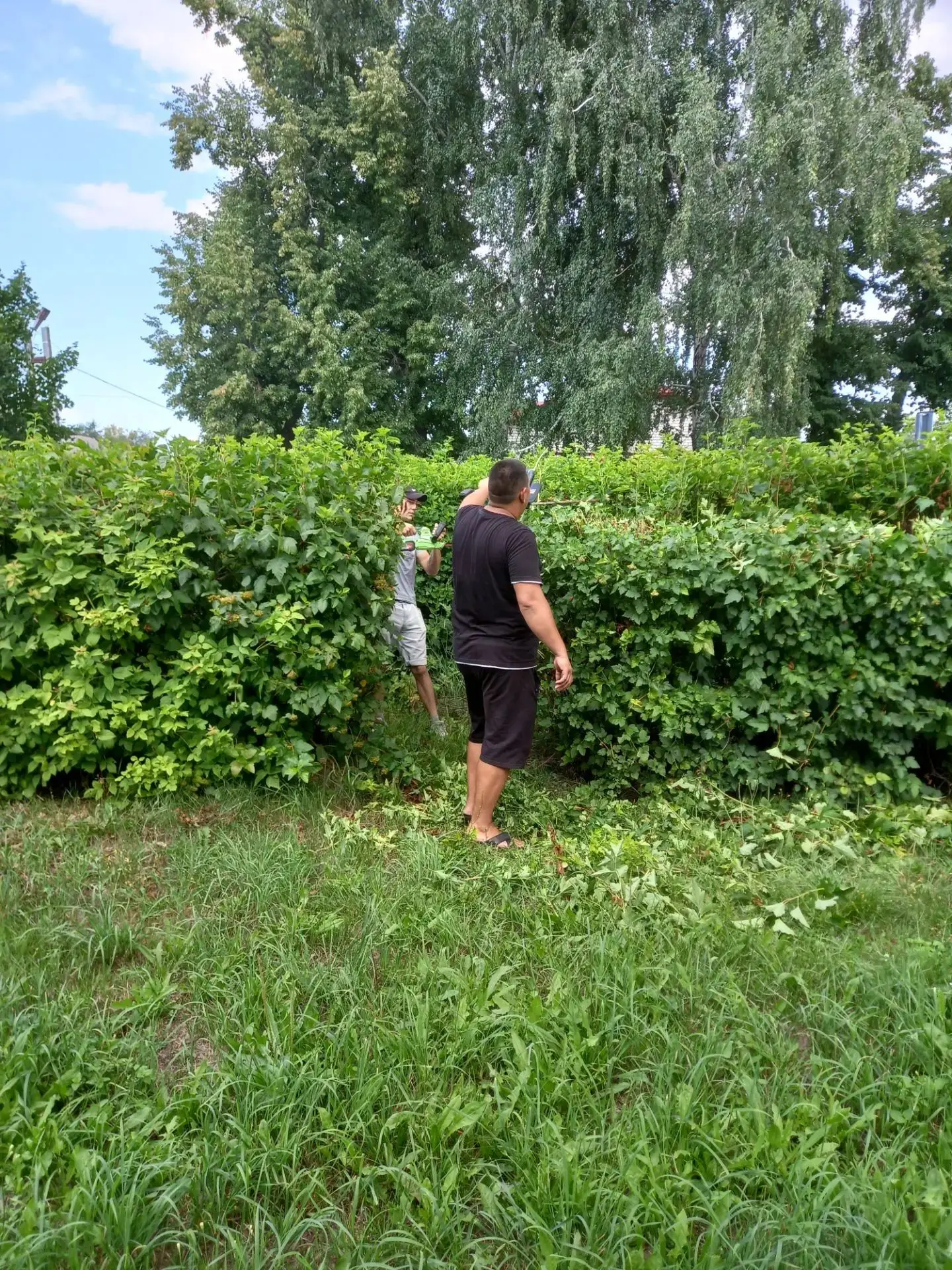 Занимаемся благоустройством🌿