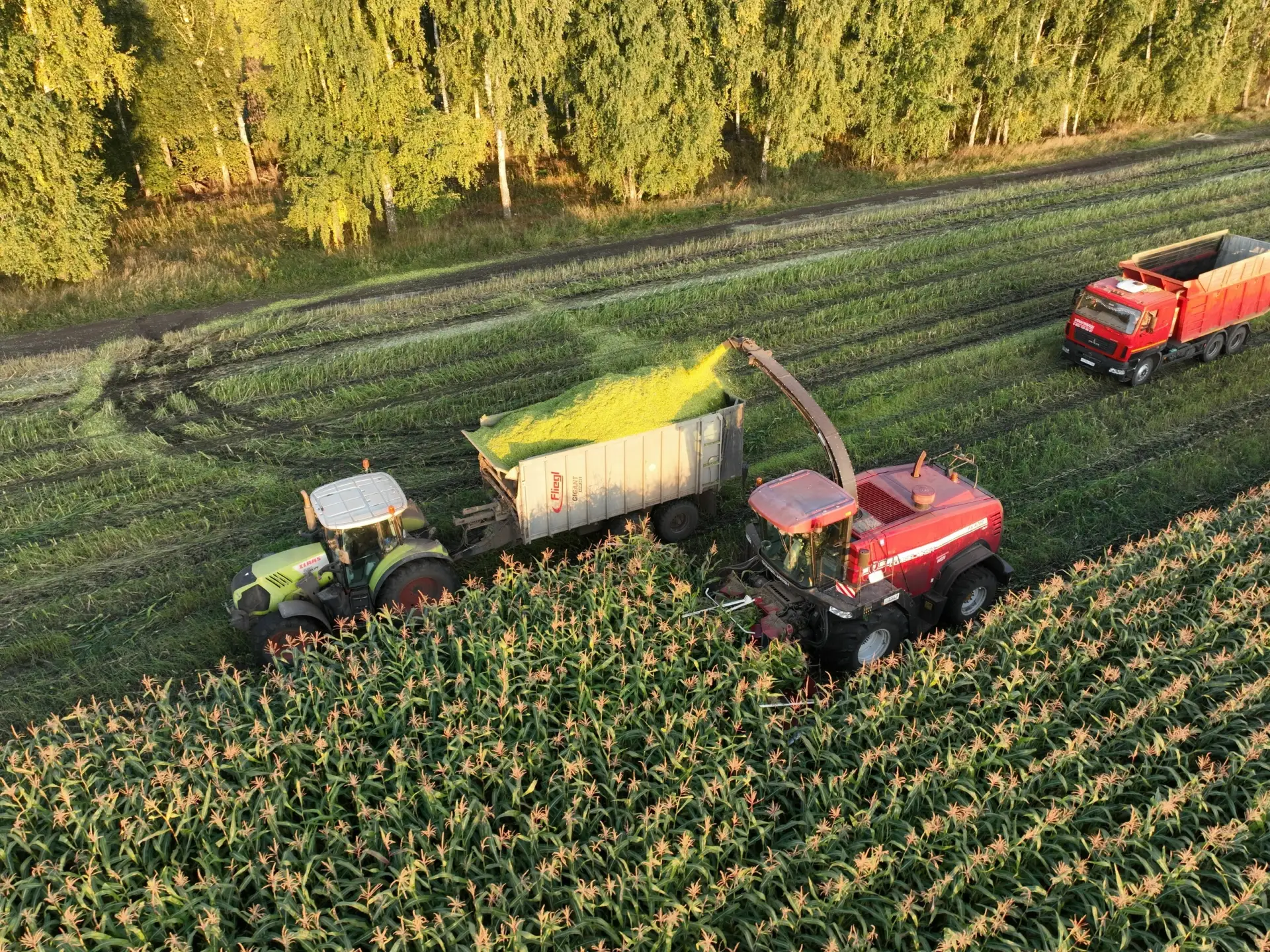 🚜🌱В 22 районах Башкортостана закладывают силос