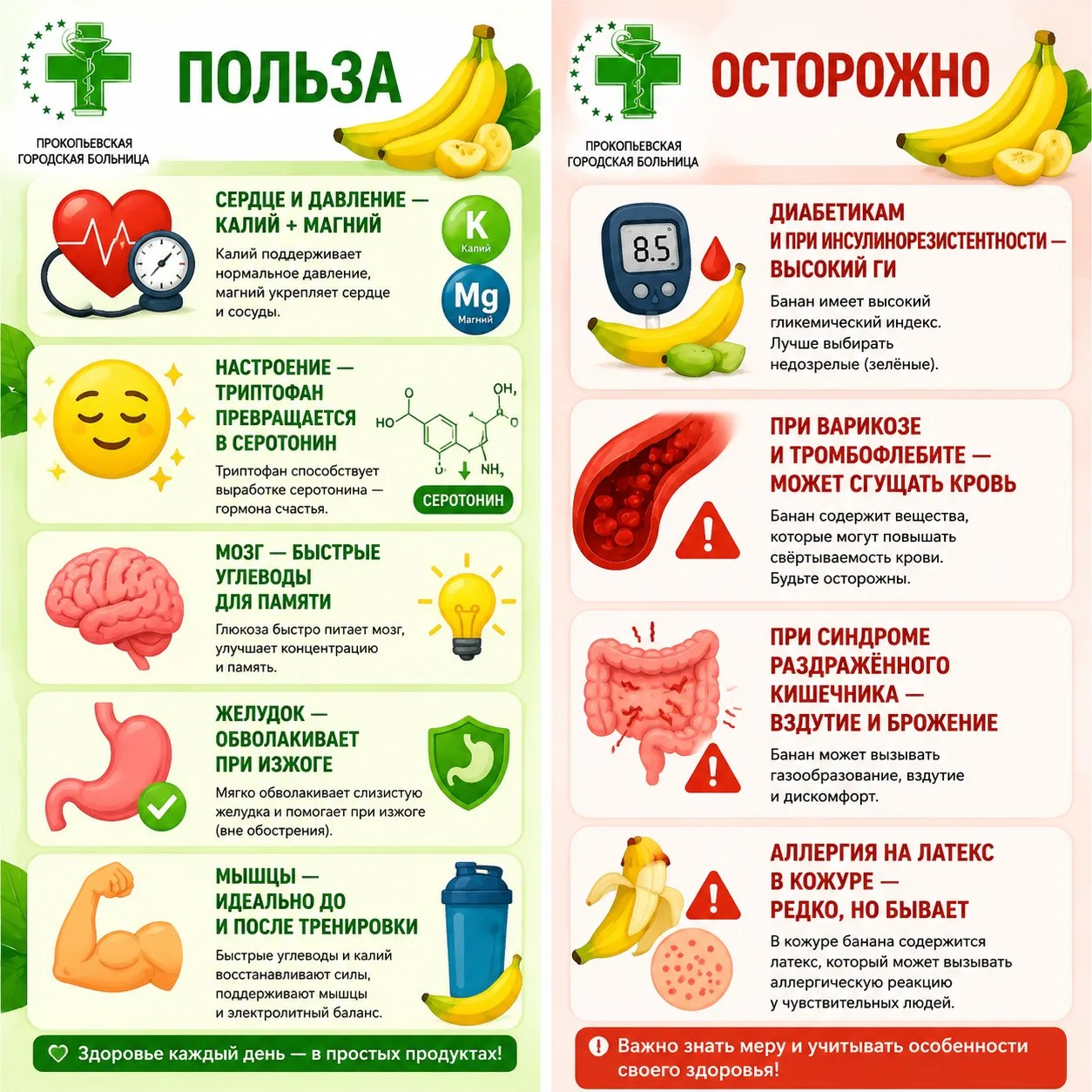 🍌 Банан: друг или враг? Разбираемся без мифов
