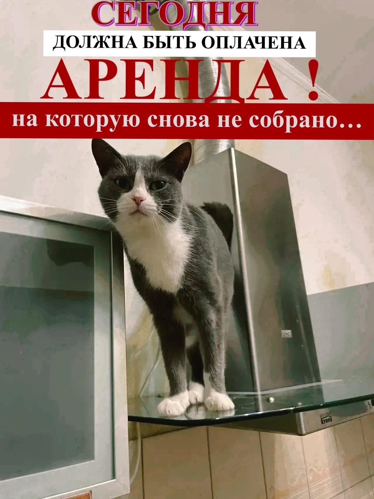 Ребята!. День внесения платежа за «Девичью Башню». Сколько не хватает?.