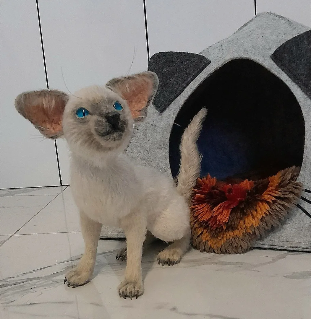 Котика связала наша подписчица Светлана Богданова 🧶