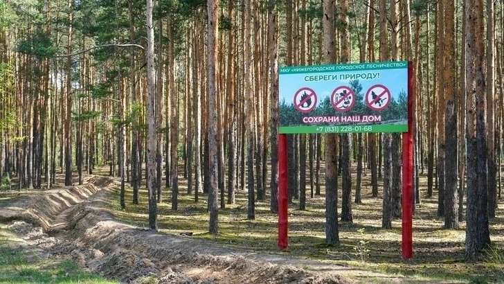 Четвертый класс пожароопасности лесов и торфяников ожидается на территории Нижнего Новгорода

По дан