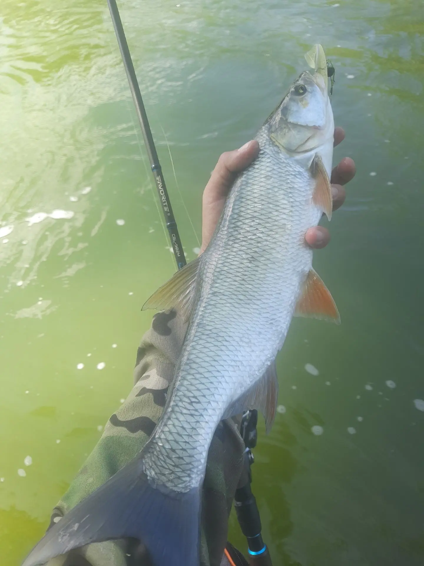 📍 р. Урал
Это сильно 👍
#отчётырыбаков

👉️К-к-Клюёт! 🎣