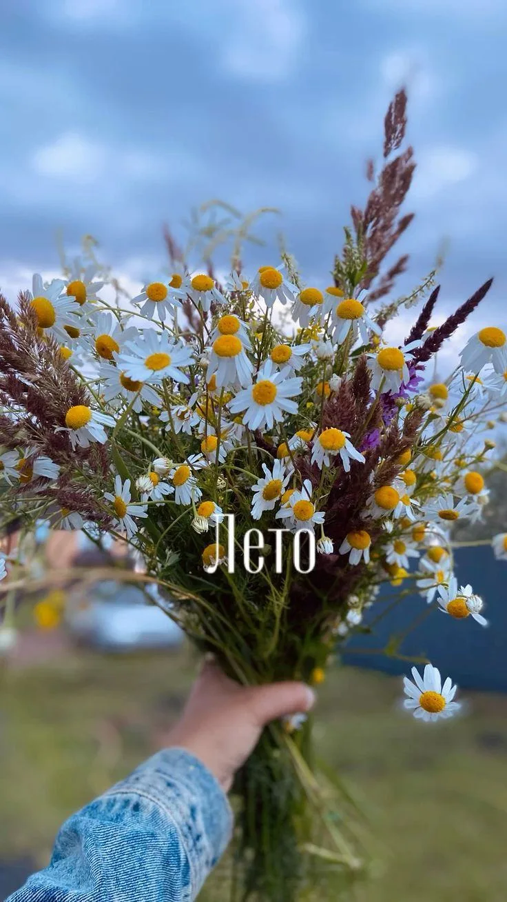 ☀️ День летнего отдыха - время наполняться счастьем! ☀️Сегодня - День летнего отдыха! И это прекрасн