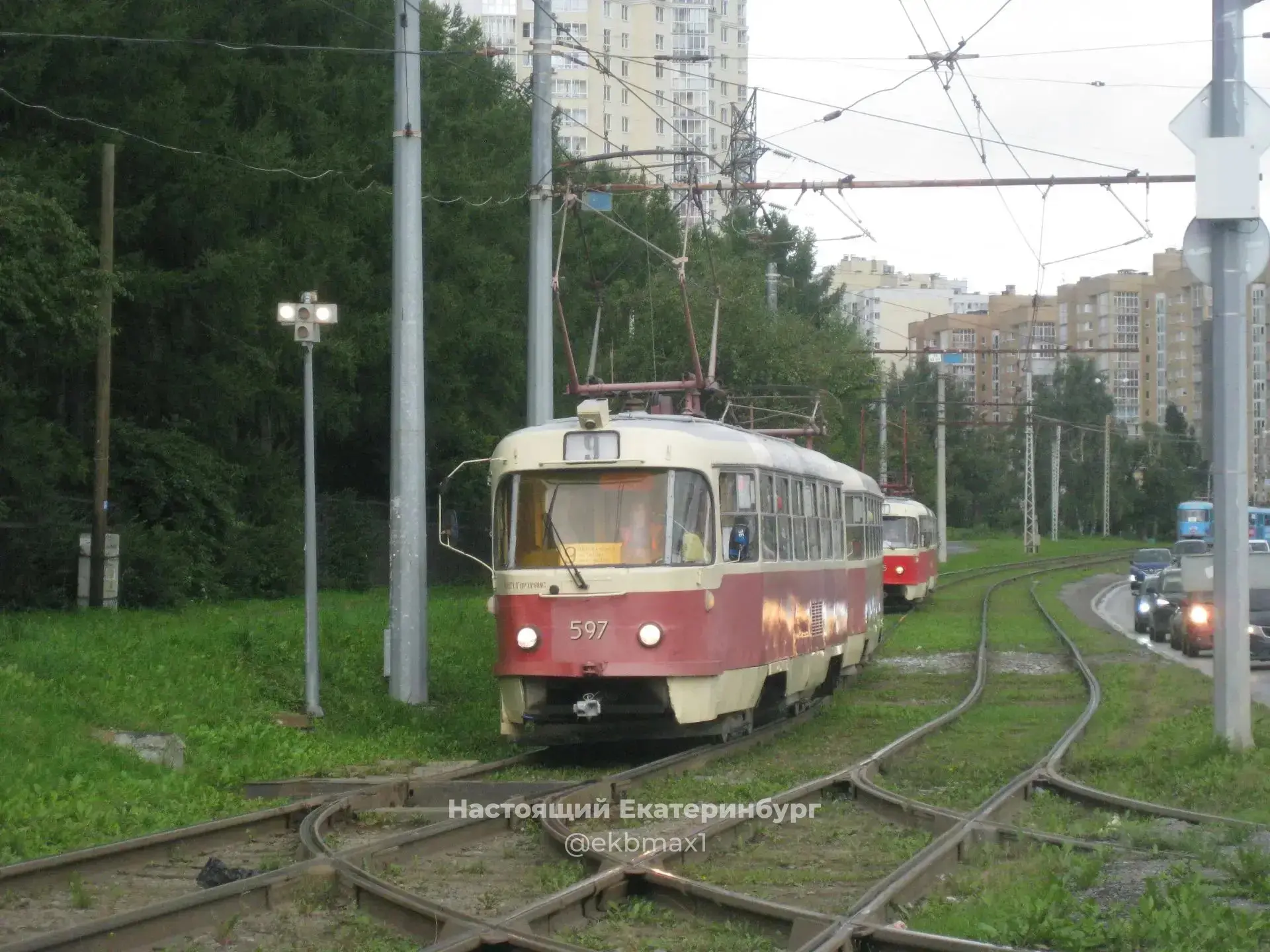 А красиво на Ботанике 😍