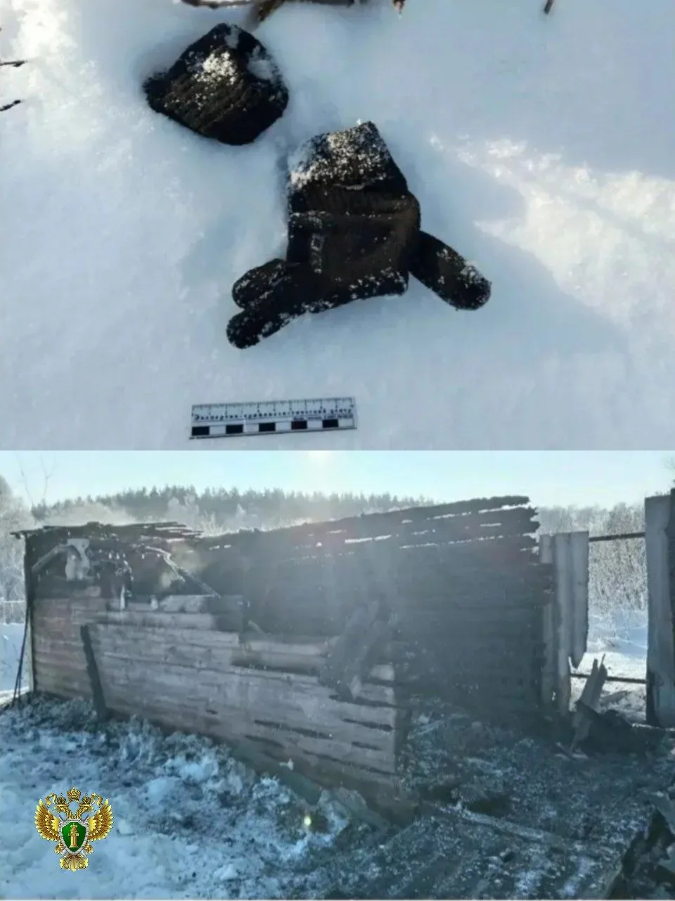 В Родниках прокуратура направила в суд уголовное дело об умышленном поджоге бани
 
Прокуратура Родни