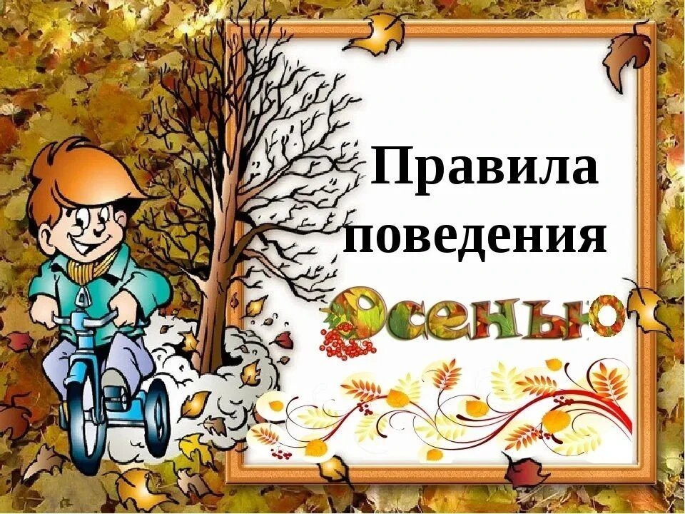 🍂️ Осенняя безопасность: памятка для детей и родителей!