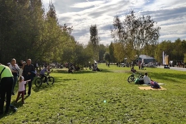 В экопарке Затюменский появится набережная с пирсом и гостиница