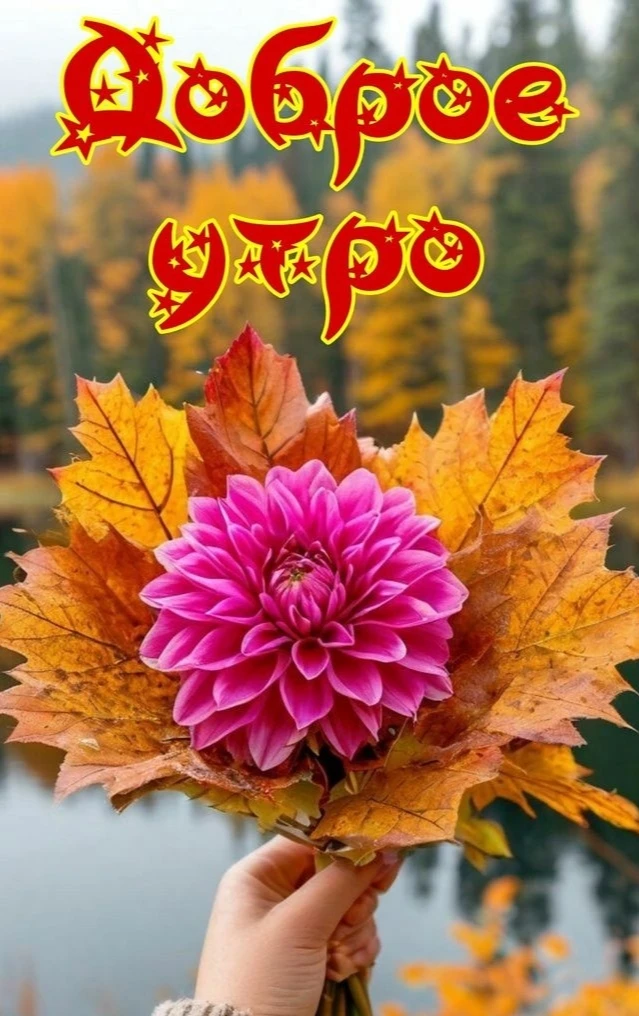 Доброе утро!💜