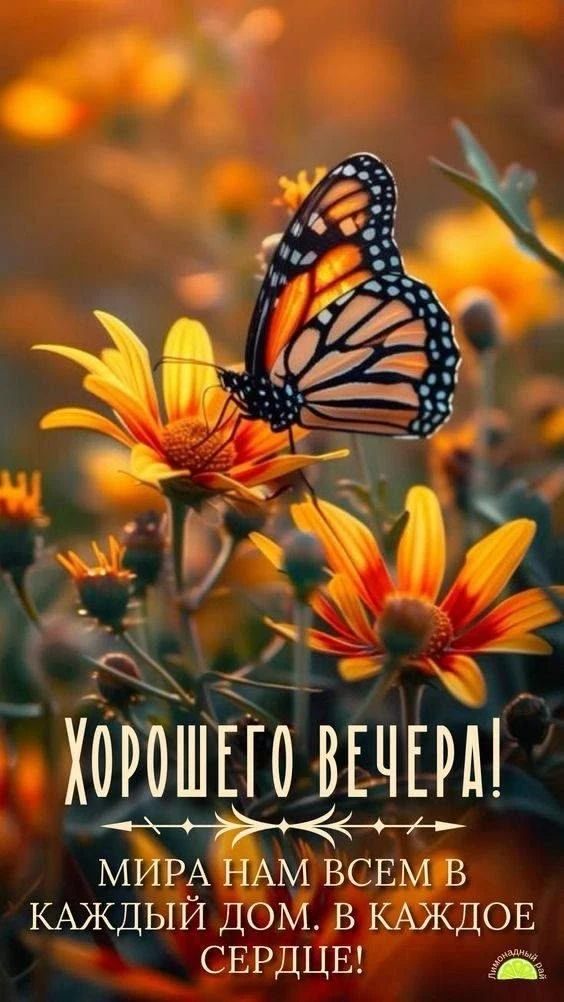 👉ВСЕ ОТКРЫТКИ ТУТ👈