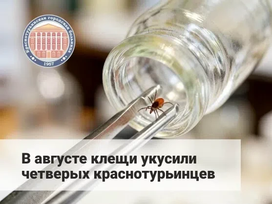 🕷 Количество горожан, покусанных клещами, за последний месяц увеличилось незначительно...
