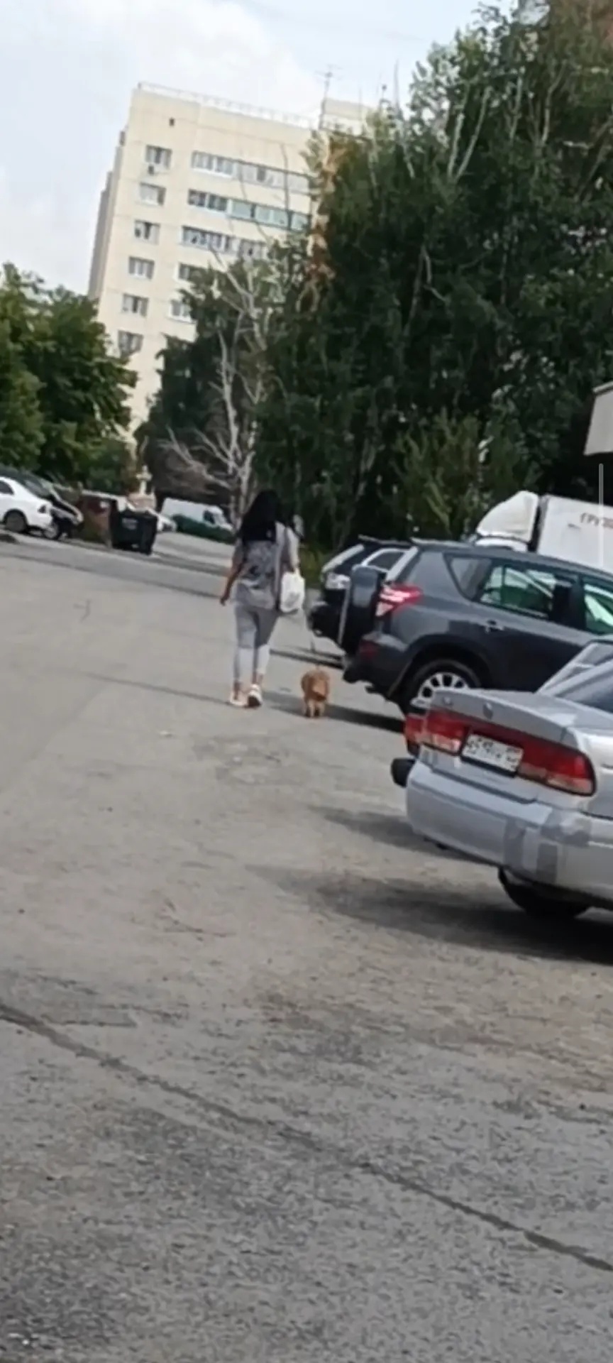 От подписчика:
