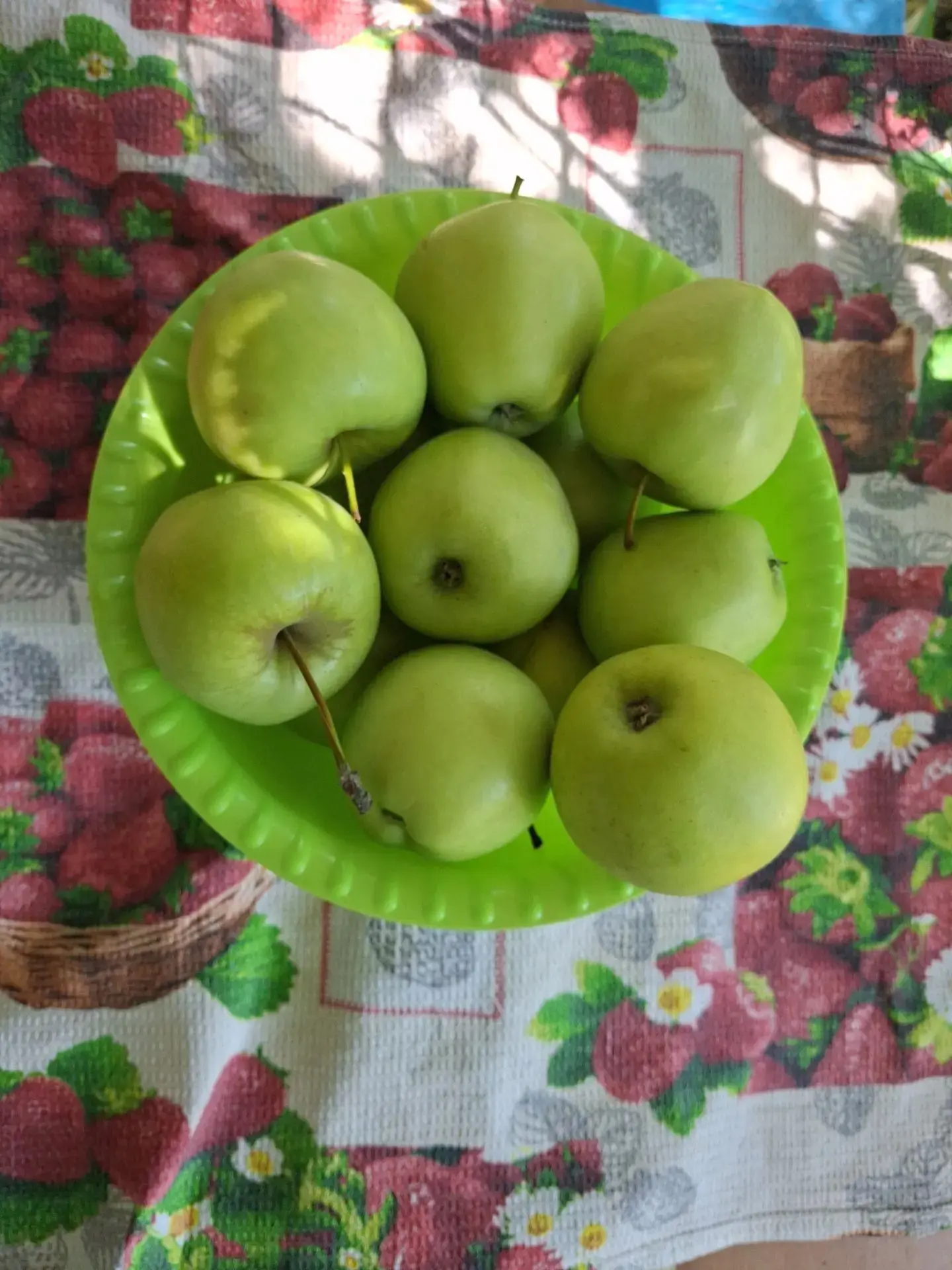 Лето, ах, лето!!! Летом  мы с детьми проводим больше времени на участке , проходим квесты, играем в 