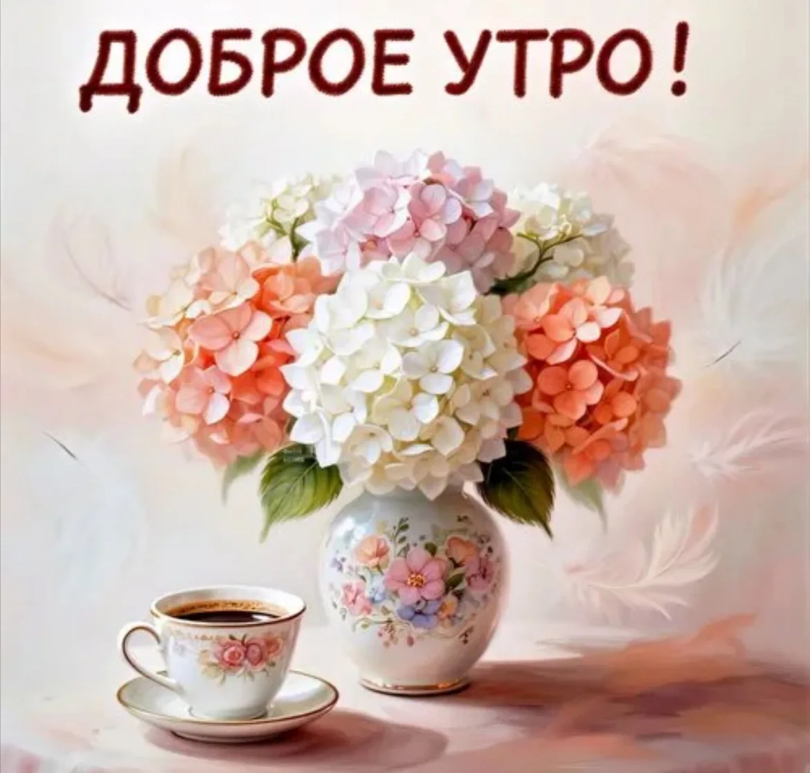 Доброе утро, дорогие подписчики 🌺