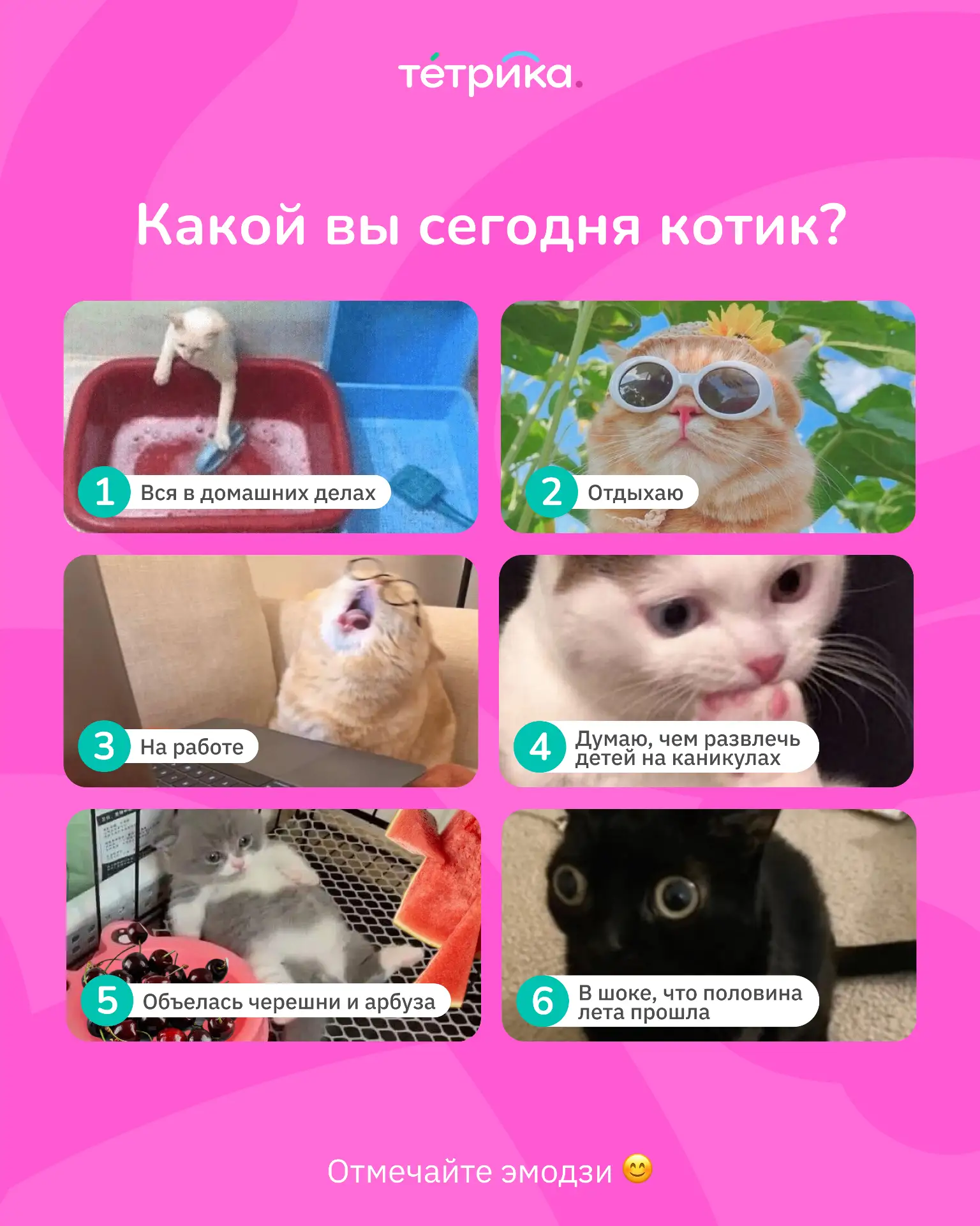 Отмечайте эмодзи, какой вы котик сегодня!
❤️ — 1
👍 — 2
🔥 — 3
😁 — 4
👀 — 5
🎉 — 6