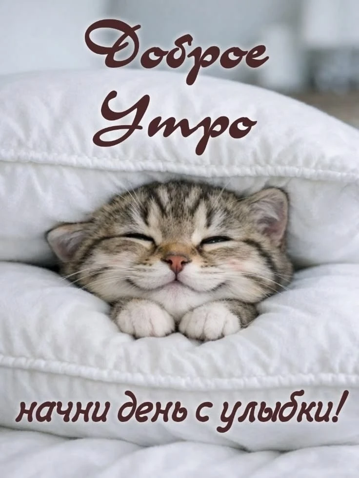 ОТКРЫТКИ