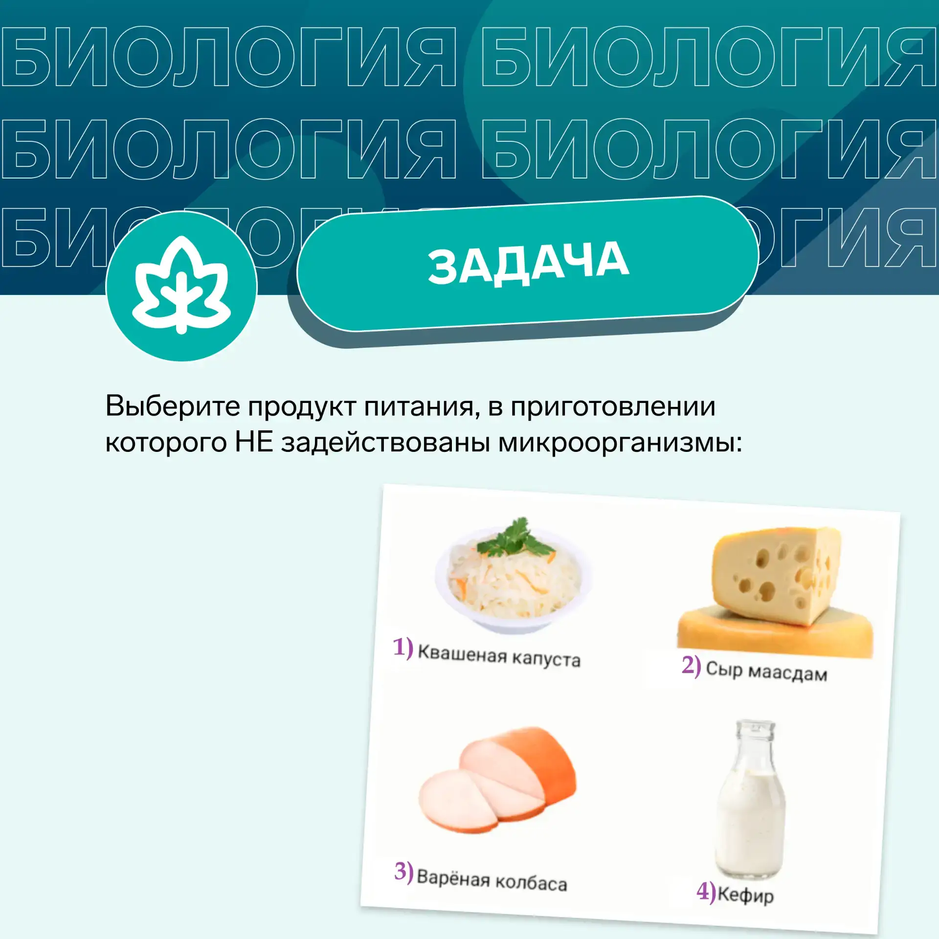 Конкурс «Реши задачу по биологии и получи подарок»  Почувствуй себя частью олимпиадного движения, пр