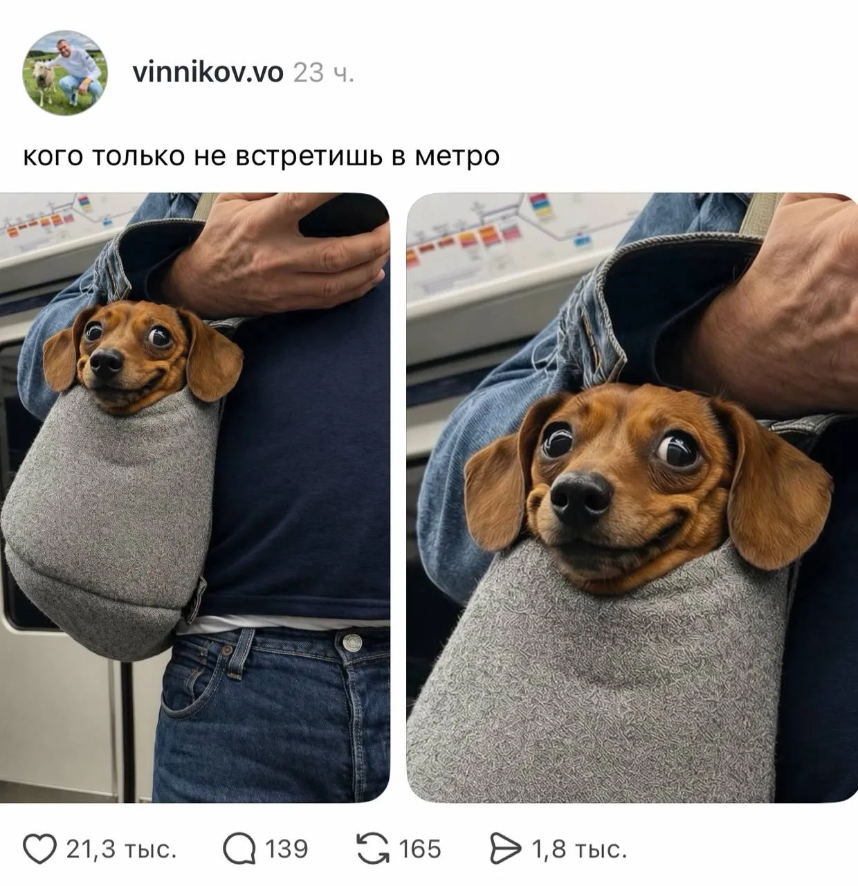 В Тредсе завирусила ветка с самыми очаровательными ПАССАЖИРАМИ — пользователи решили по...
