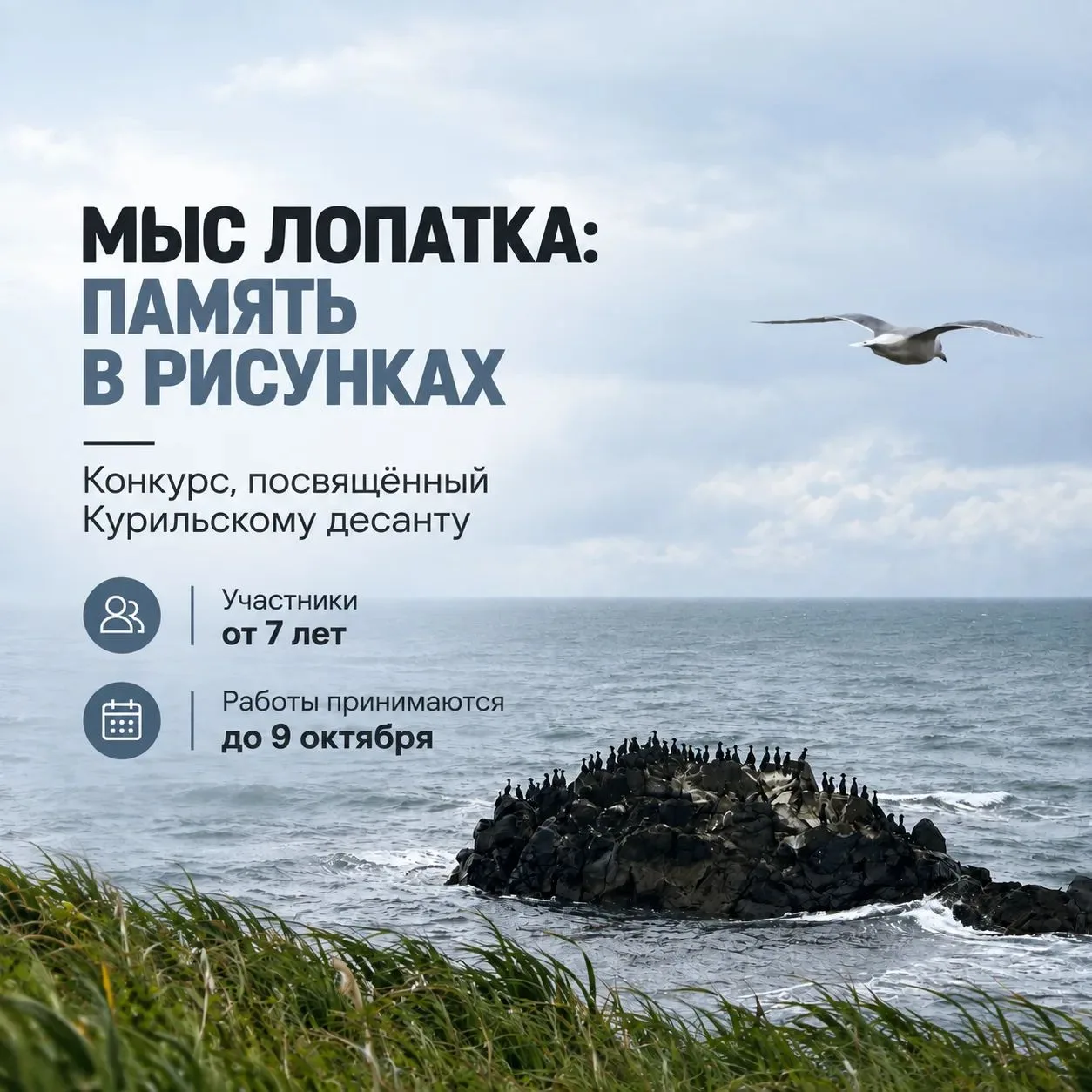 🎨 Жителей Камчатки приглашают принять участие в конкурсе рисунков, посвященном Курильс...