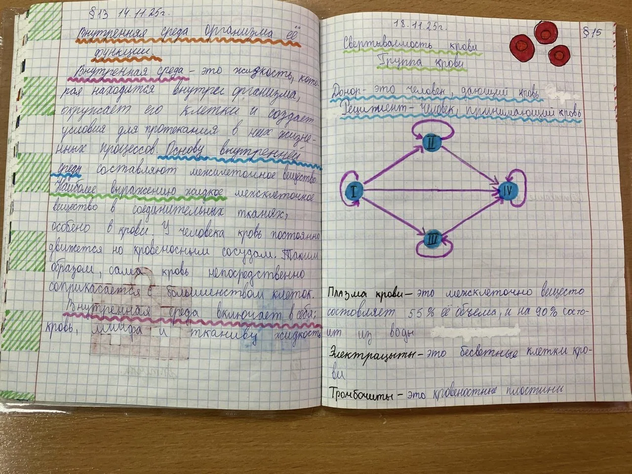 Рабочие тетради по биологии. Учитель Шабиханова З.Л.