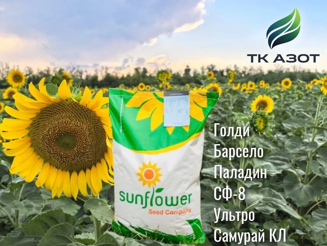 🌻ГИБРИДЫ ПОДСОЛНЕЧНИКА SUNFLOWER — СТАБИЛЬНЫЙ УРОЖАЙ И МАКСИМАЛЬНАЯ ОТДАЧА🌻