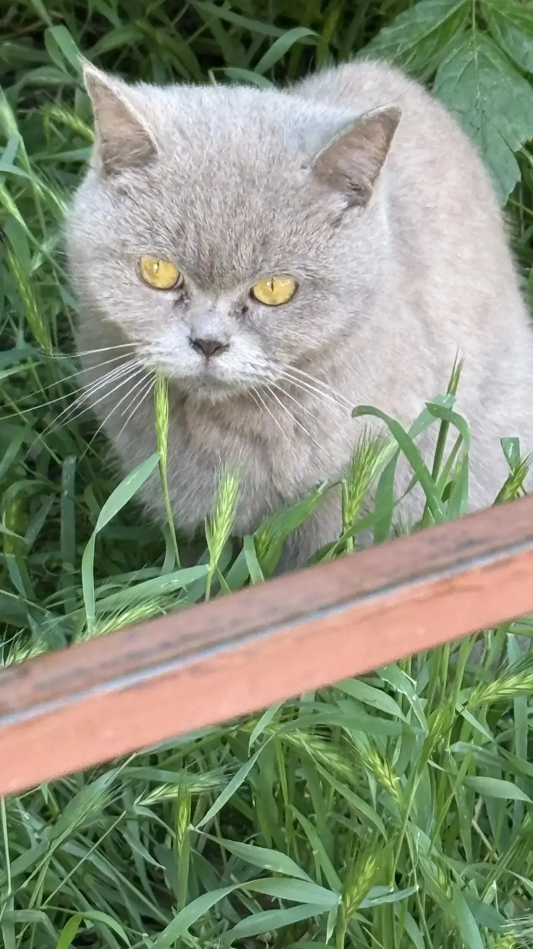От подписчика: