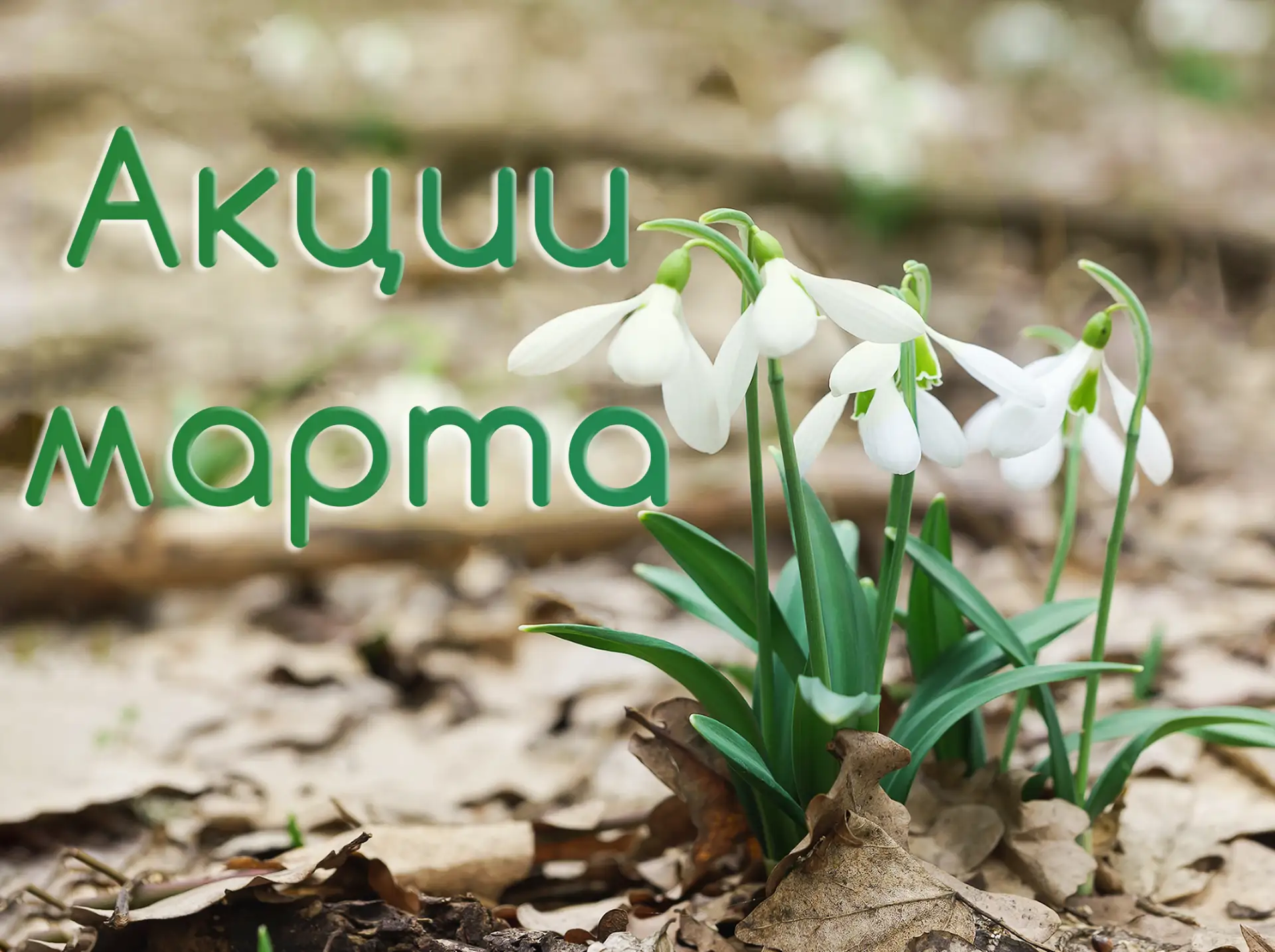 Февральские акции Spring Clinic совместно с лабораторией Инвитро продолжаются и в марте: