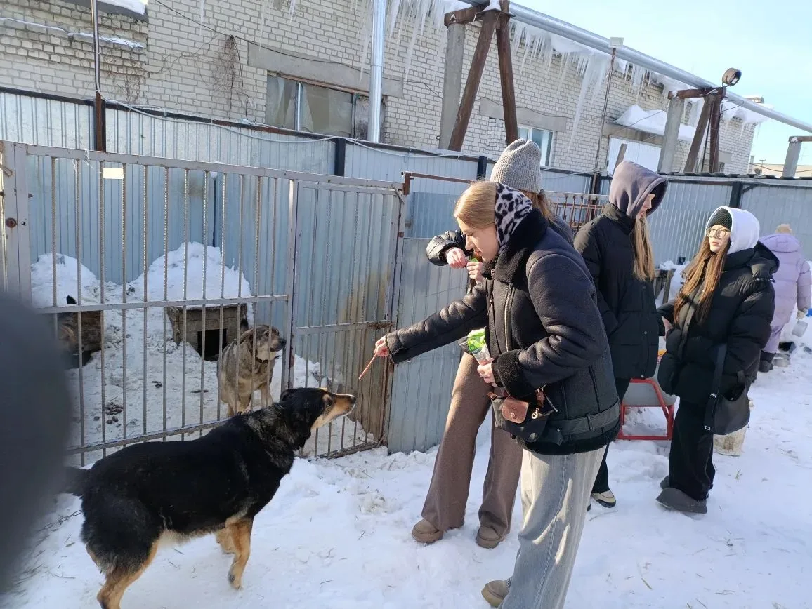 Посещение приюта для собак "Ковчег"  Ребята 11э класса недавно посетили приют для собак "Ковчег", ос