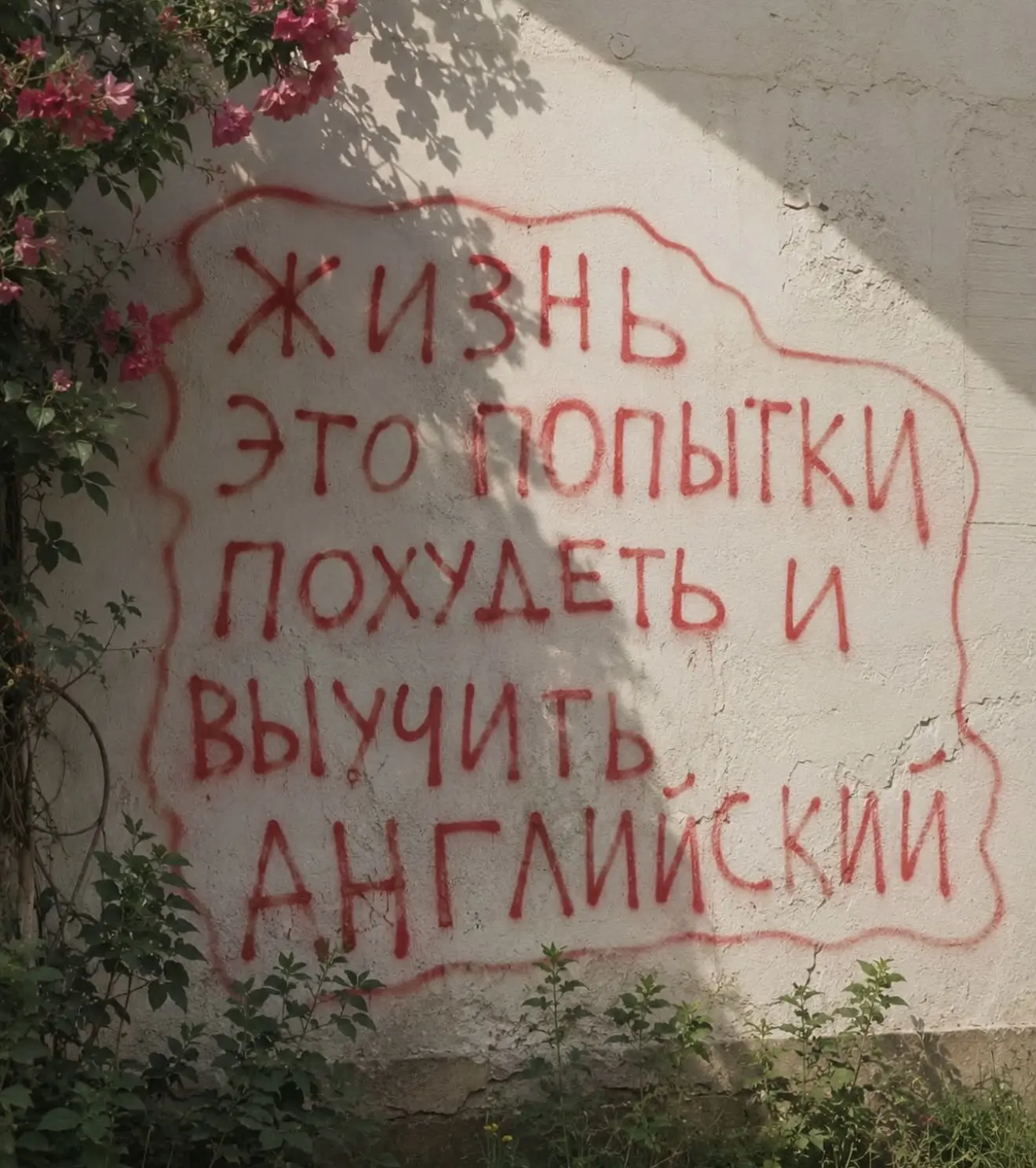 И все не успеваем к лету😁😎