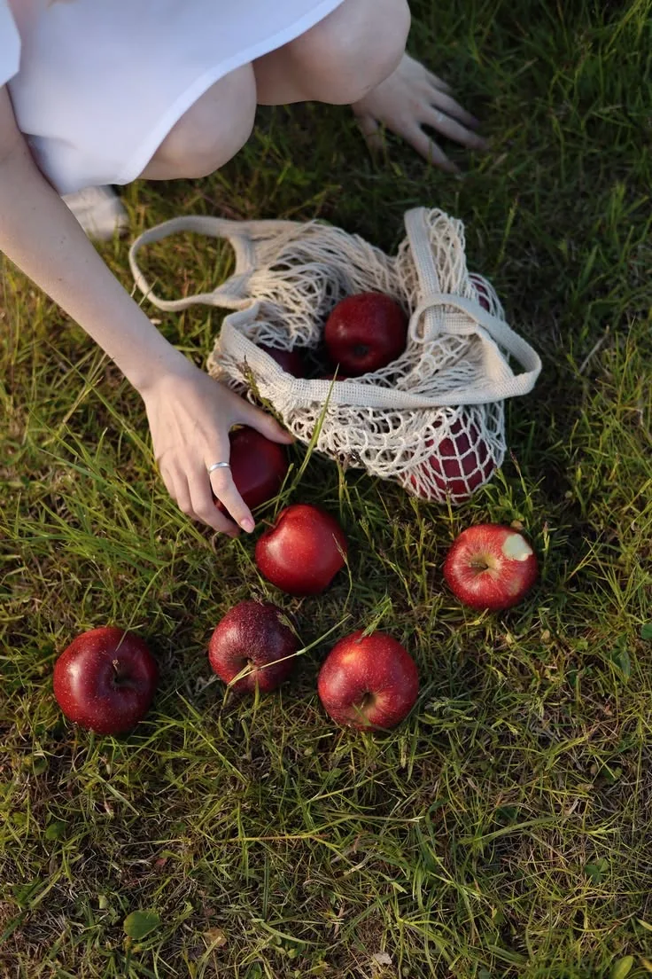 🍎Для стройности и здорового кишечника — чем полезны яблоки?