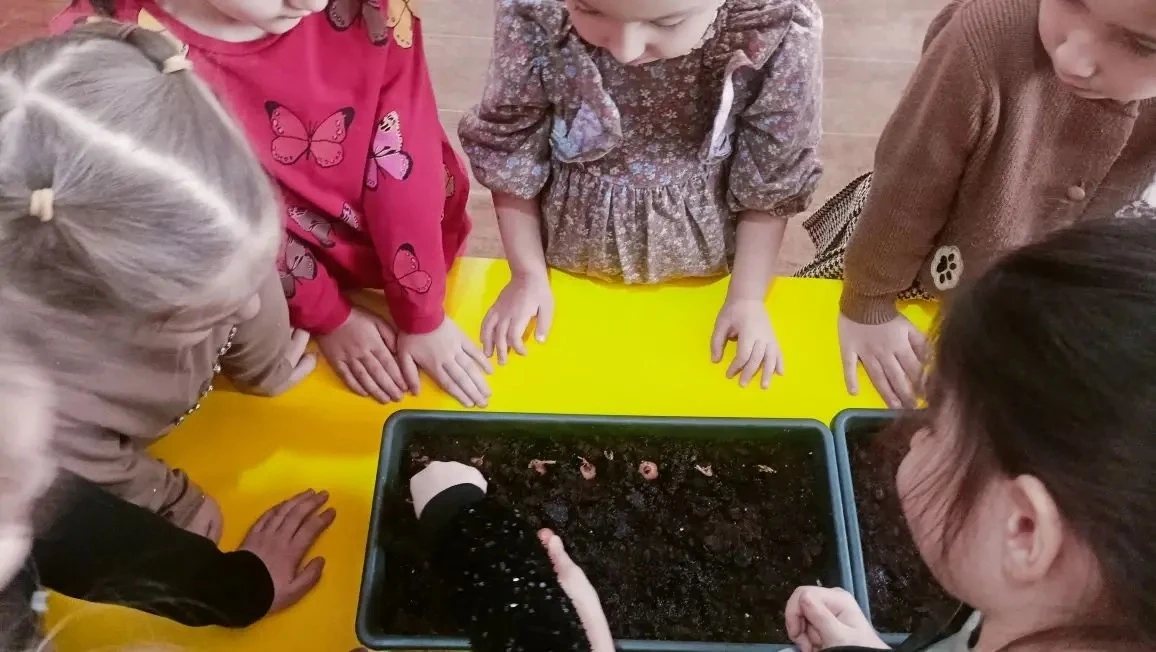 🌱 Огород на подоконнике: маленькие шаги к большим открытиям! 🌱

Дорогие родители и друзья нашего д