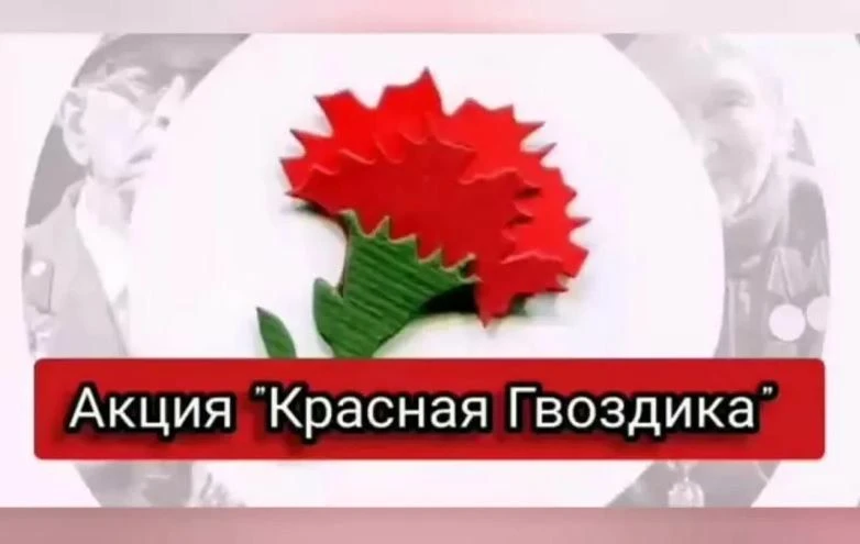 Всероссийская акция «Красная гвоздика»