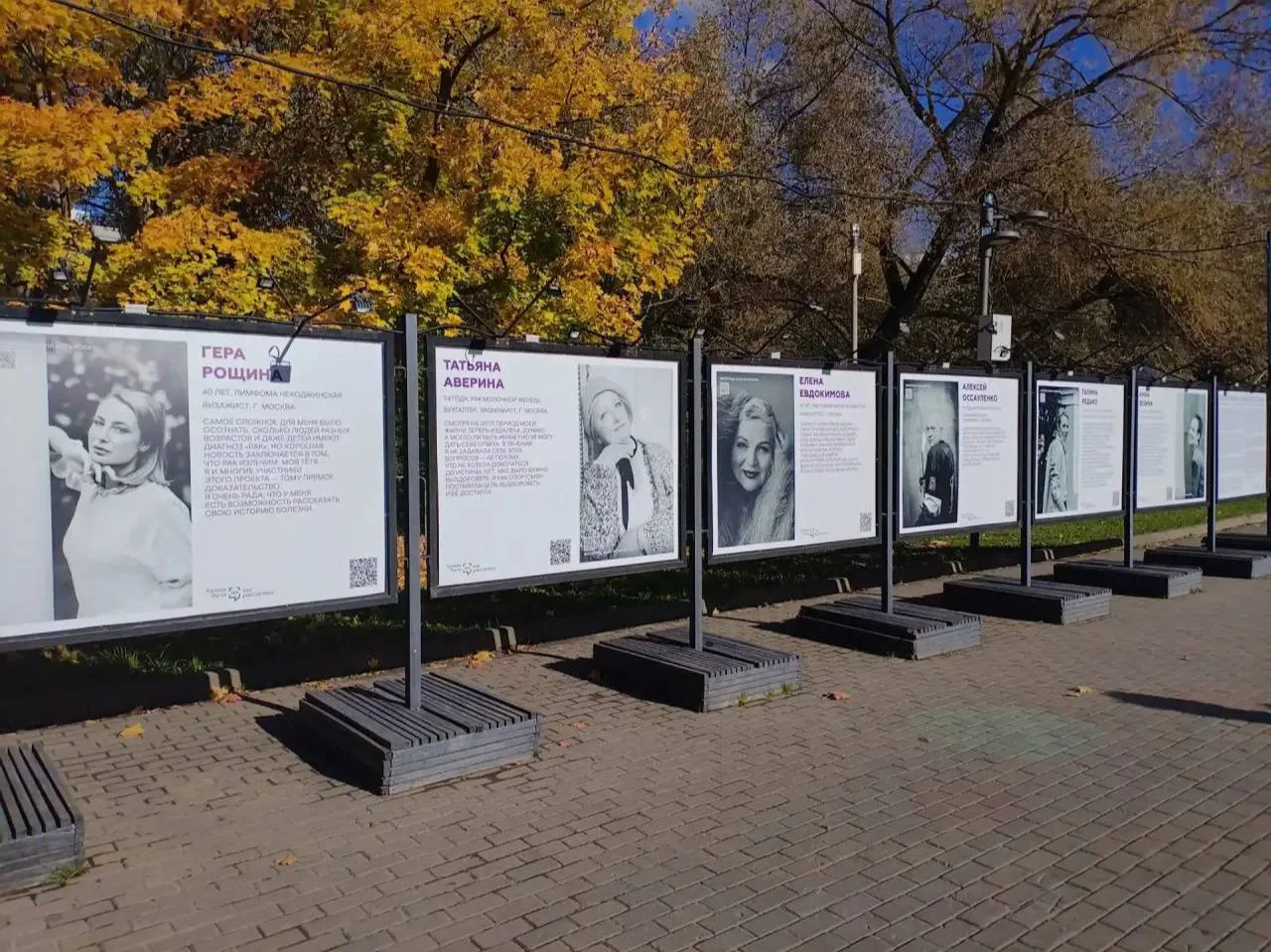 🤍 В Лианозовском парке открылась необычная фотовыставка