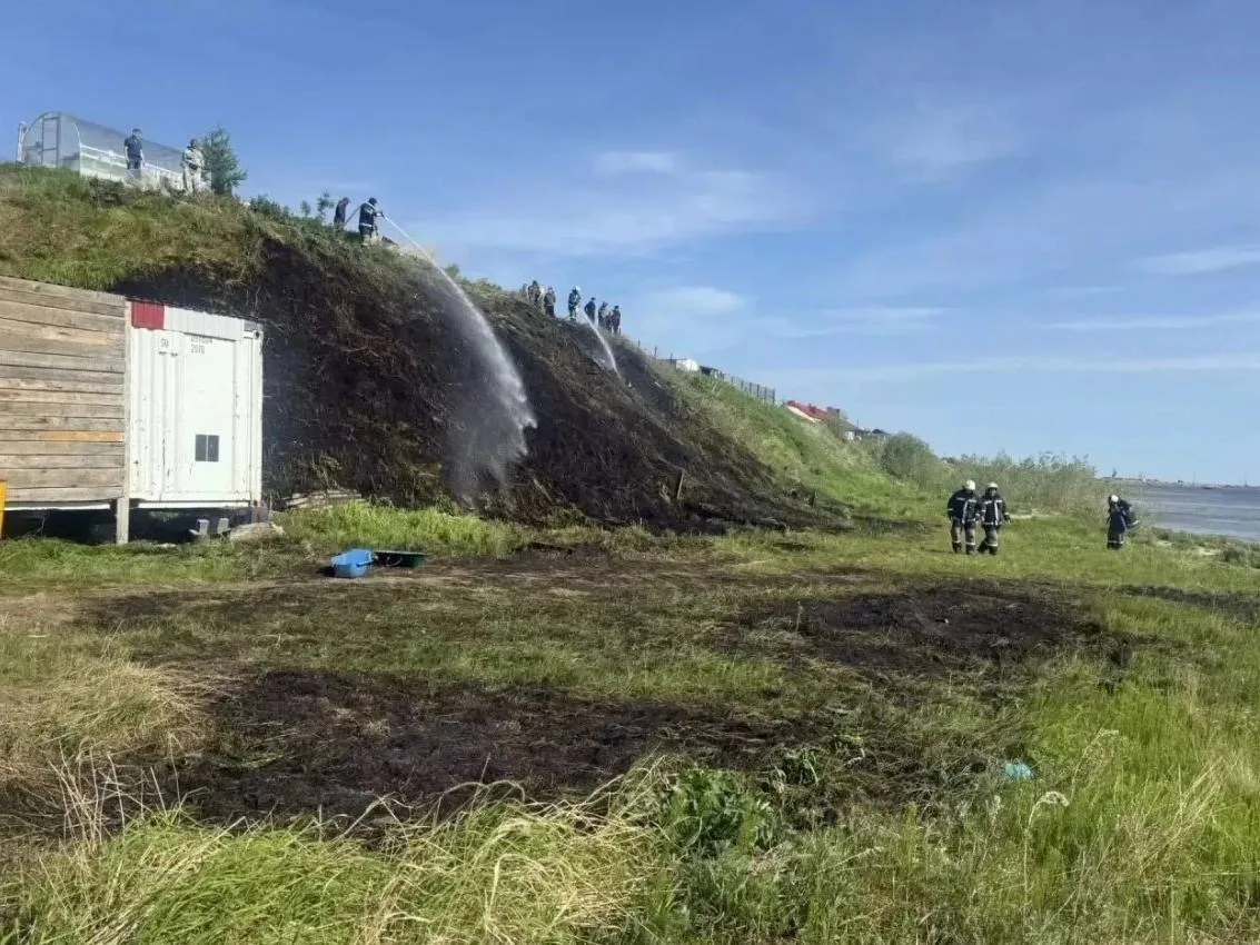 🔥 В Панаевске потушили возгорание травы

15 июня пожарные выезжали на тушение сухой травы вдоль бер