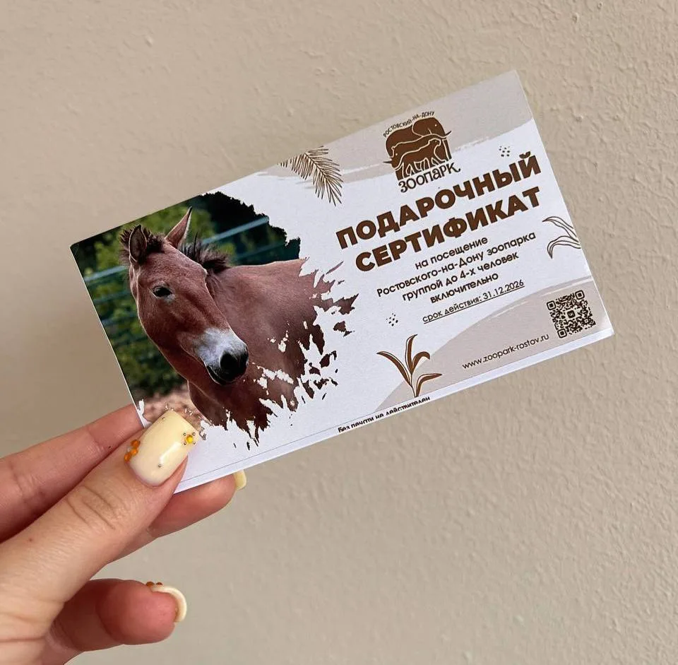 1Rnd дарит билет на четверых в Ростовский зоопарк!

Успей принять участие в конкурсе 

Подробности в