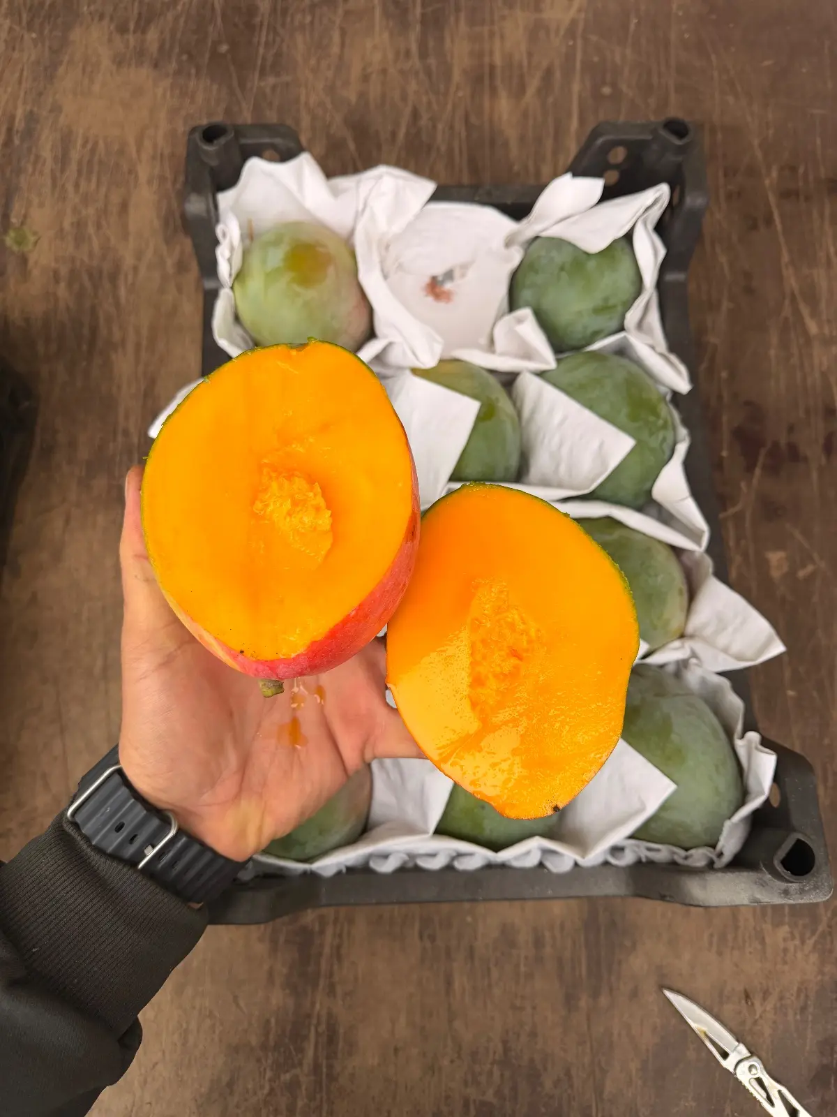 СОВМЕСТНЫЕ ЗАКУПКИ