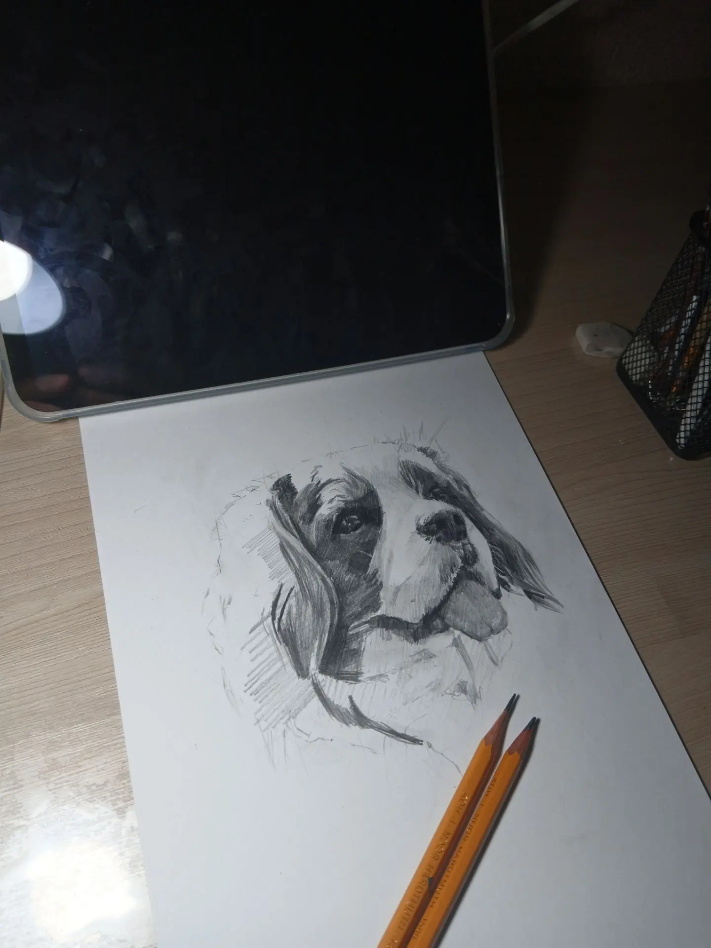 Рубрика рисунки домашних животных🐶🐱