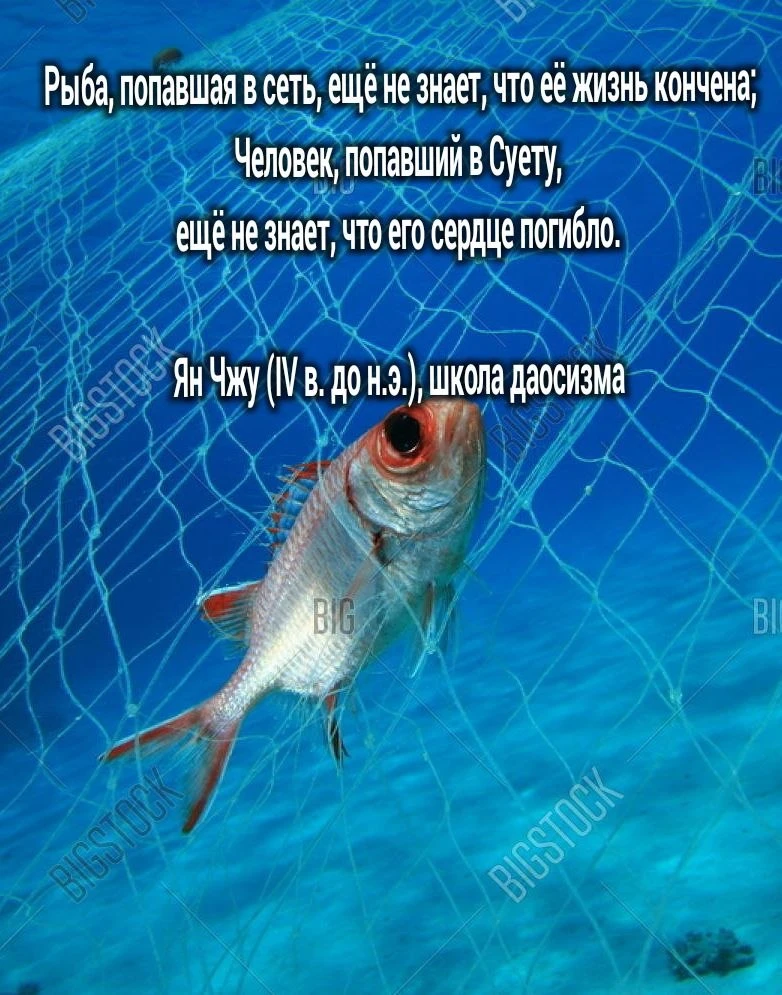 #пробуждение #дао  #медитация  #психология