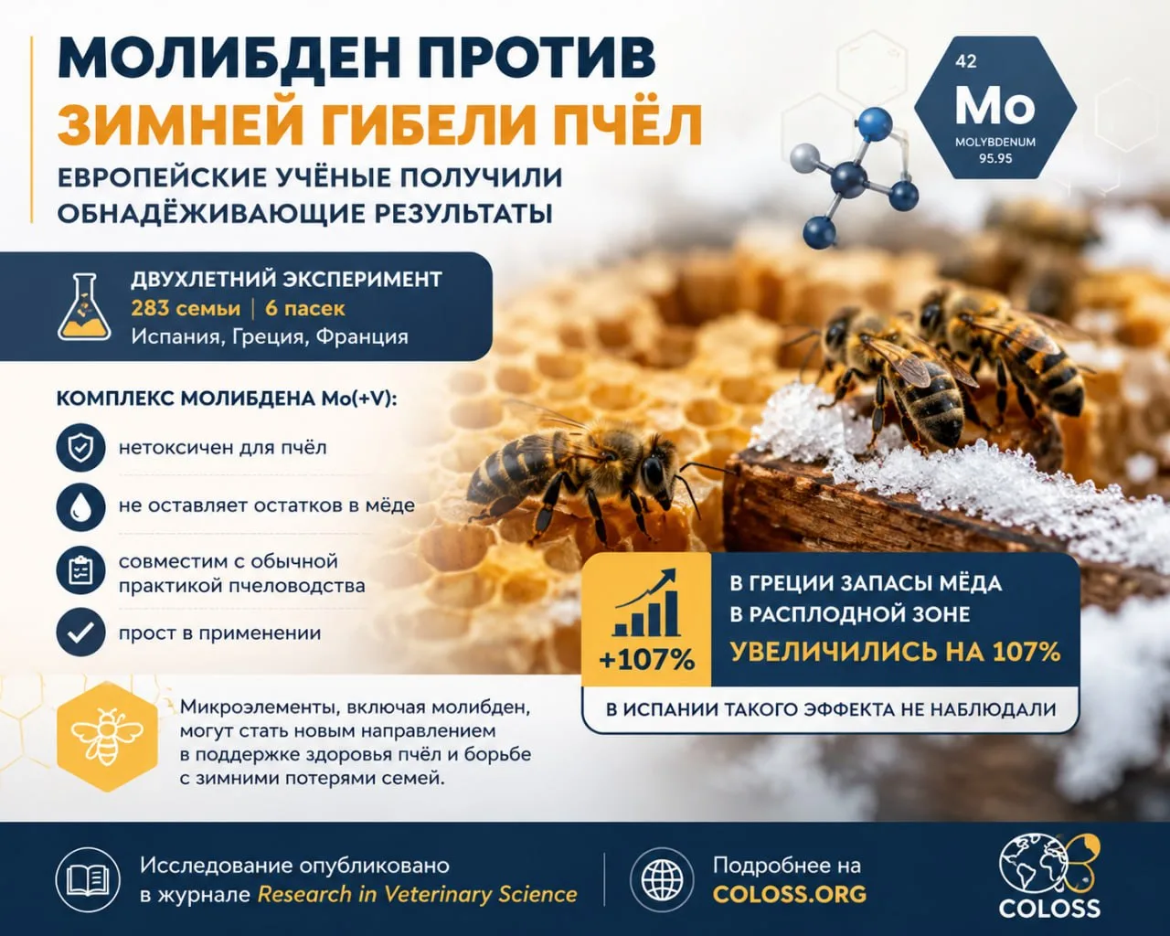 🐝 Молибден против зимней гибели пчёл: европейские учёные получили обнадёживающие резул...