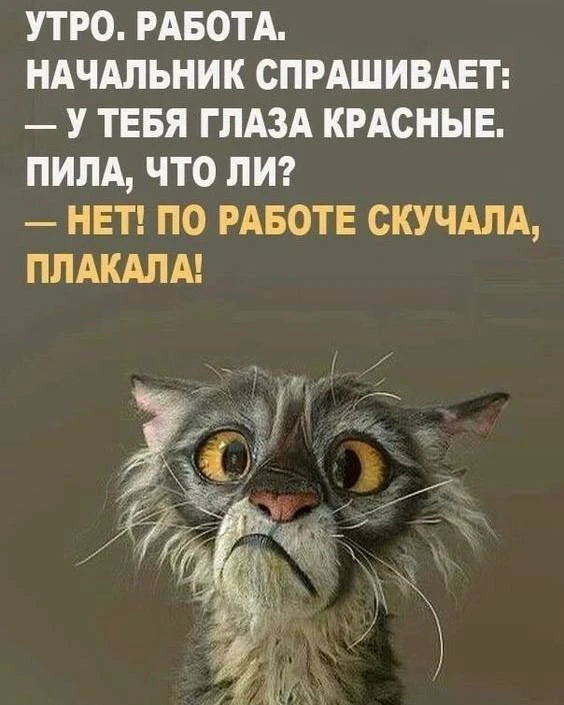 Юмор - Подписаться